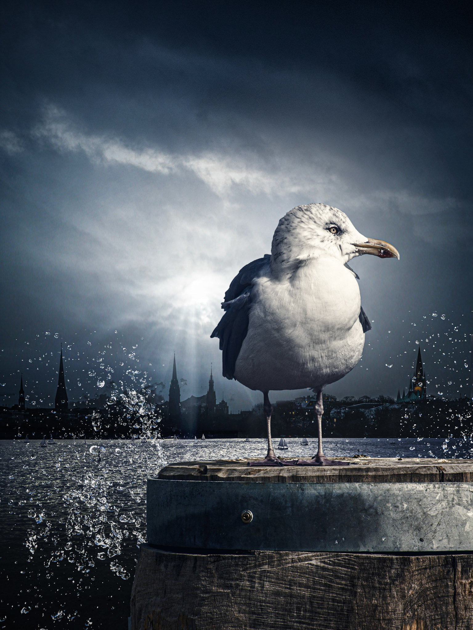 Hamburg Printmotiv Möwe