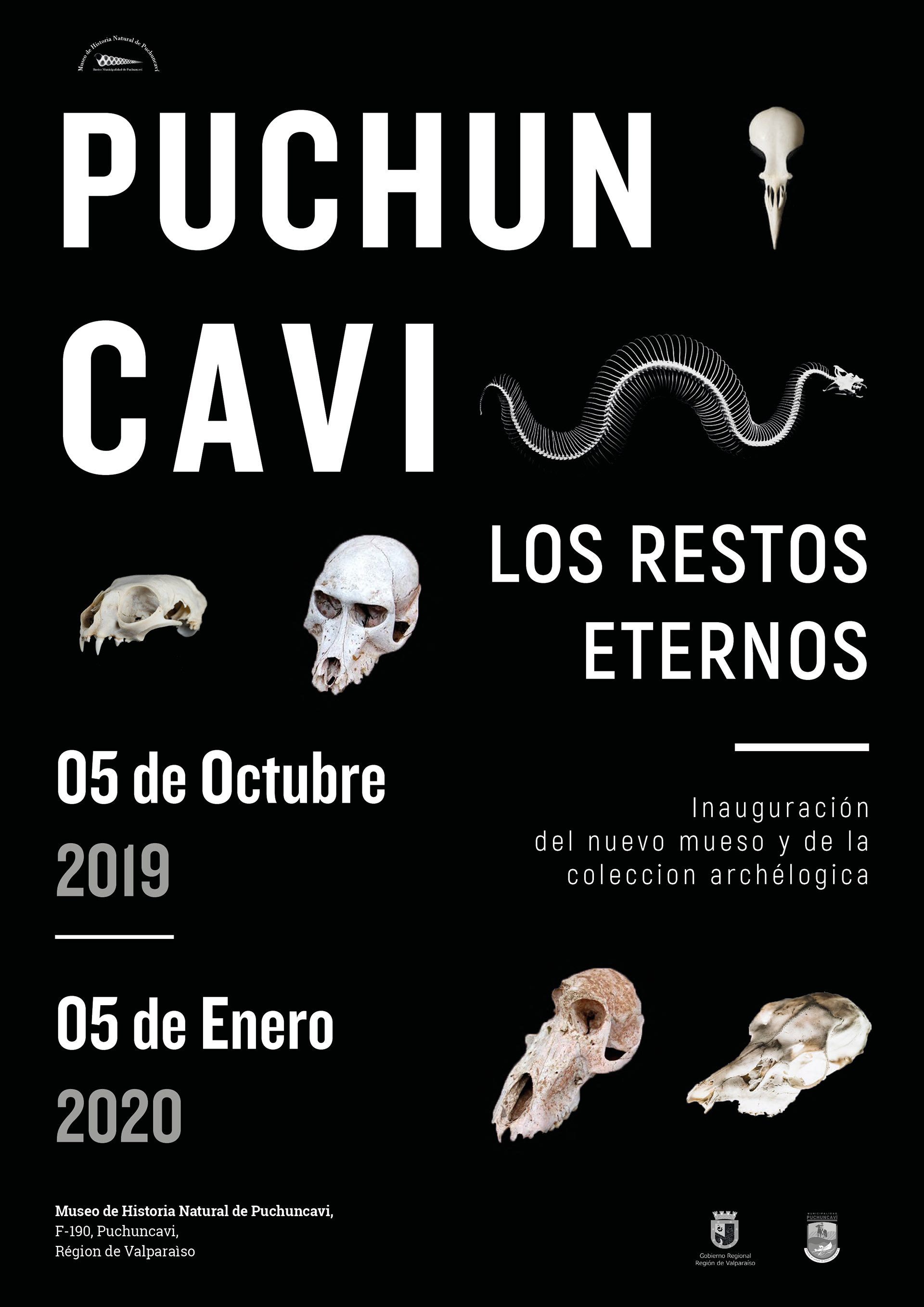 Affiches