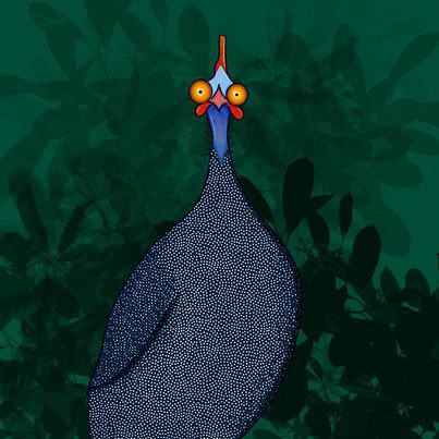 Day 47: Fowl