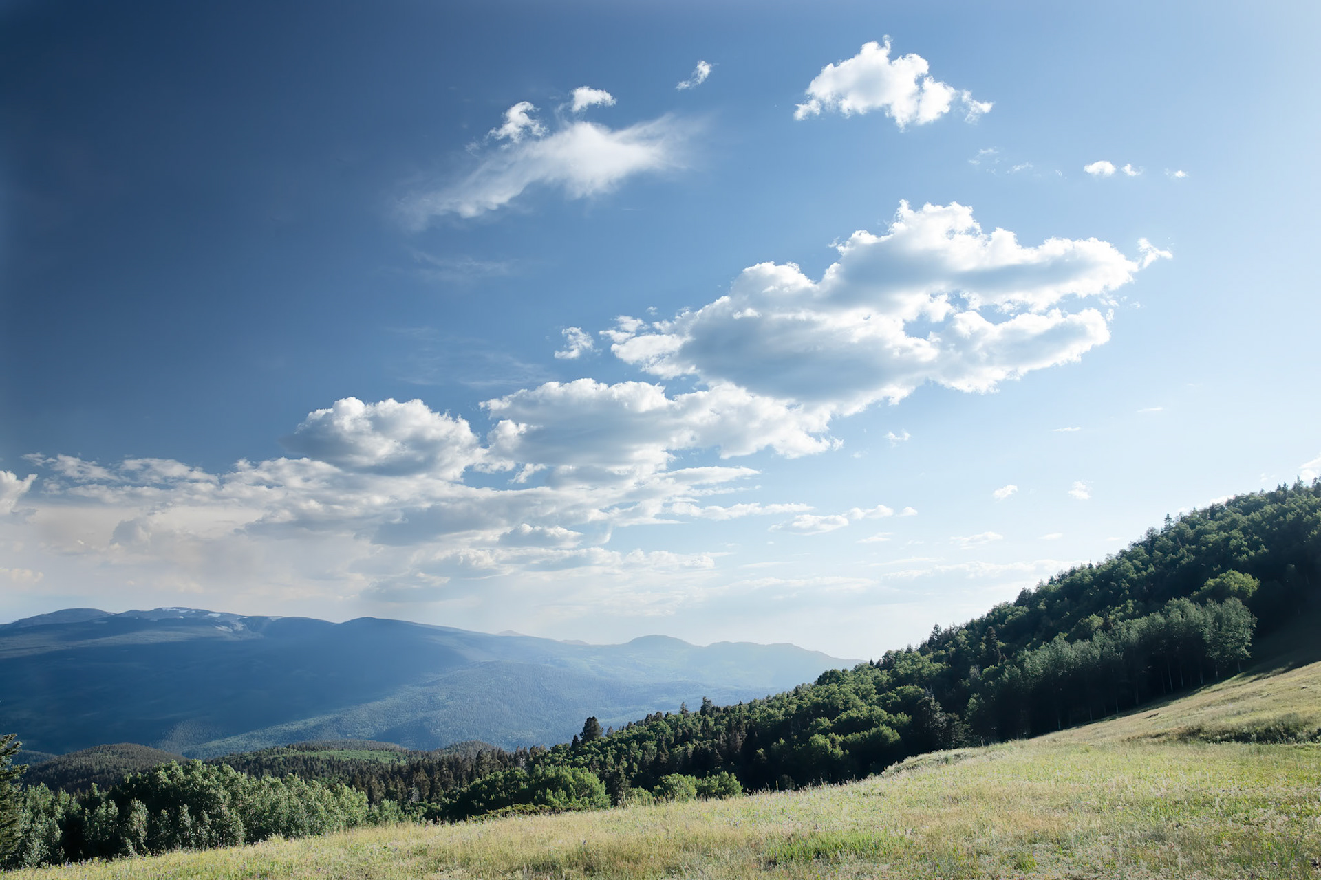 Gallegos Park, Looking toward Jicarita Peak, New Mexico