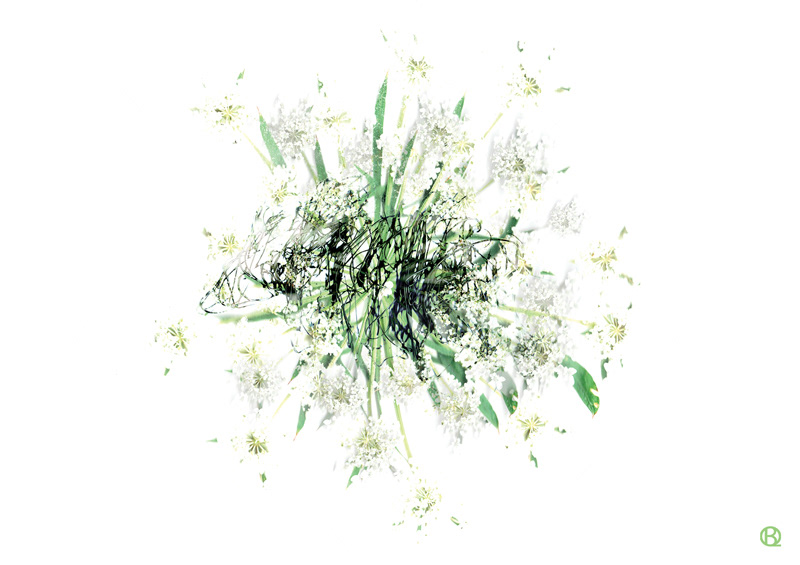 Dog and Flower Day Explosion, original print by Blue Quartz Design