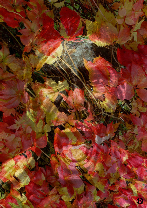 Forest Escape, original print by Blue Quartz Design