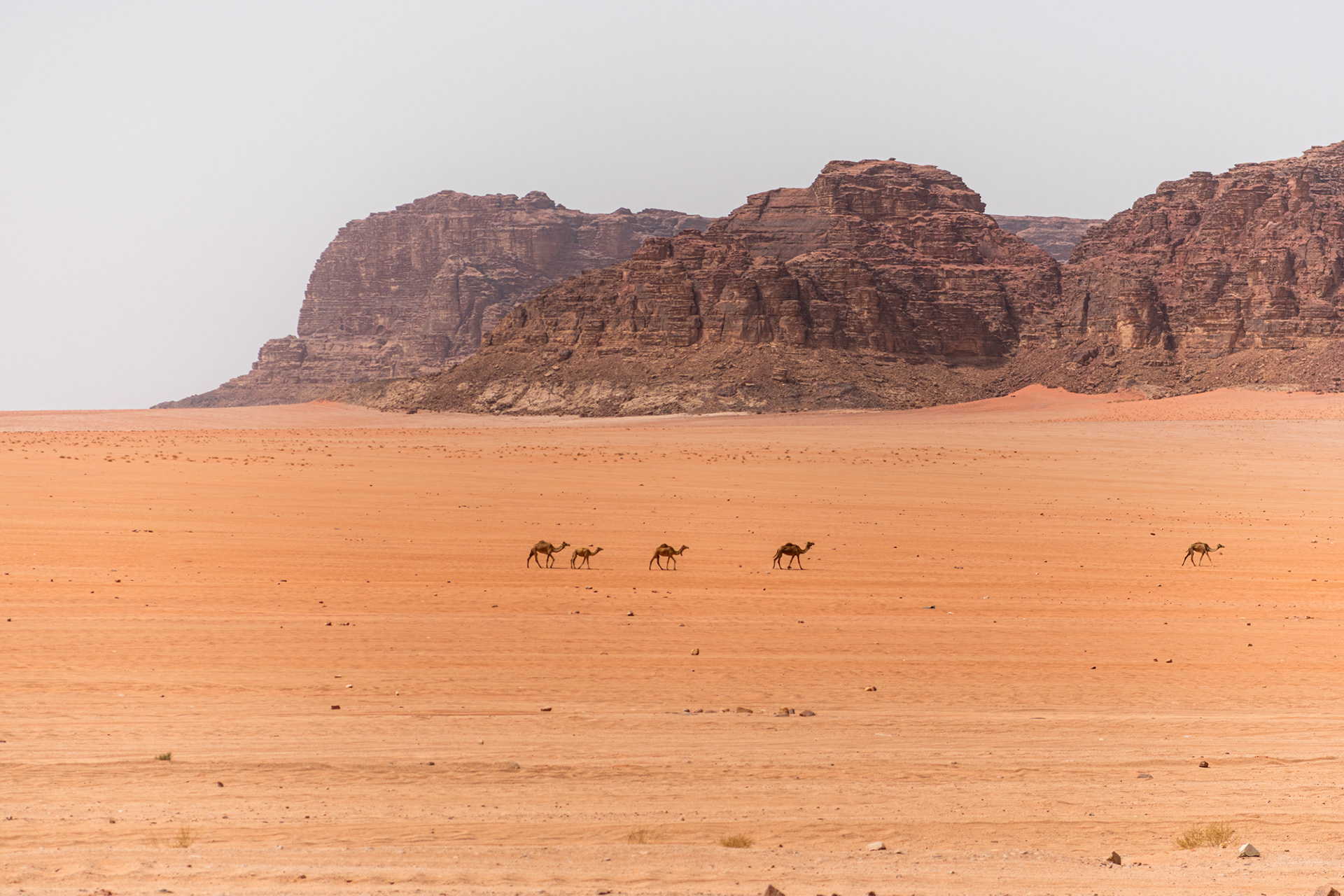 Wadi Rum, Jordanie