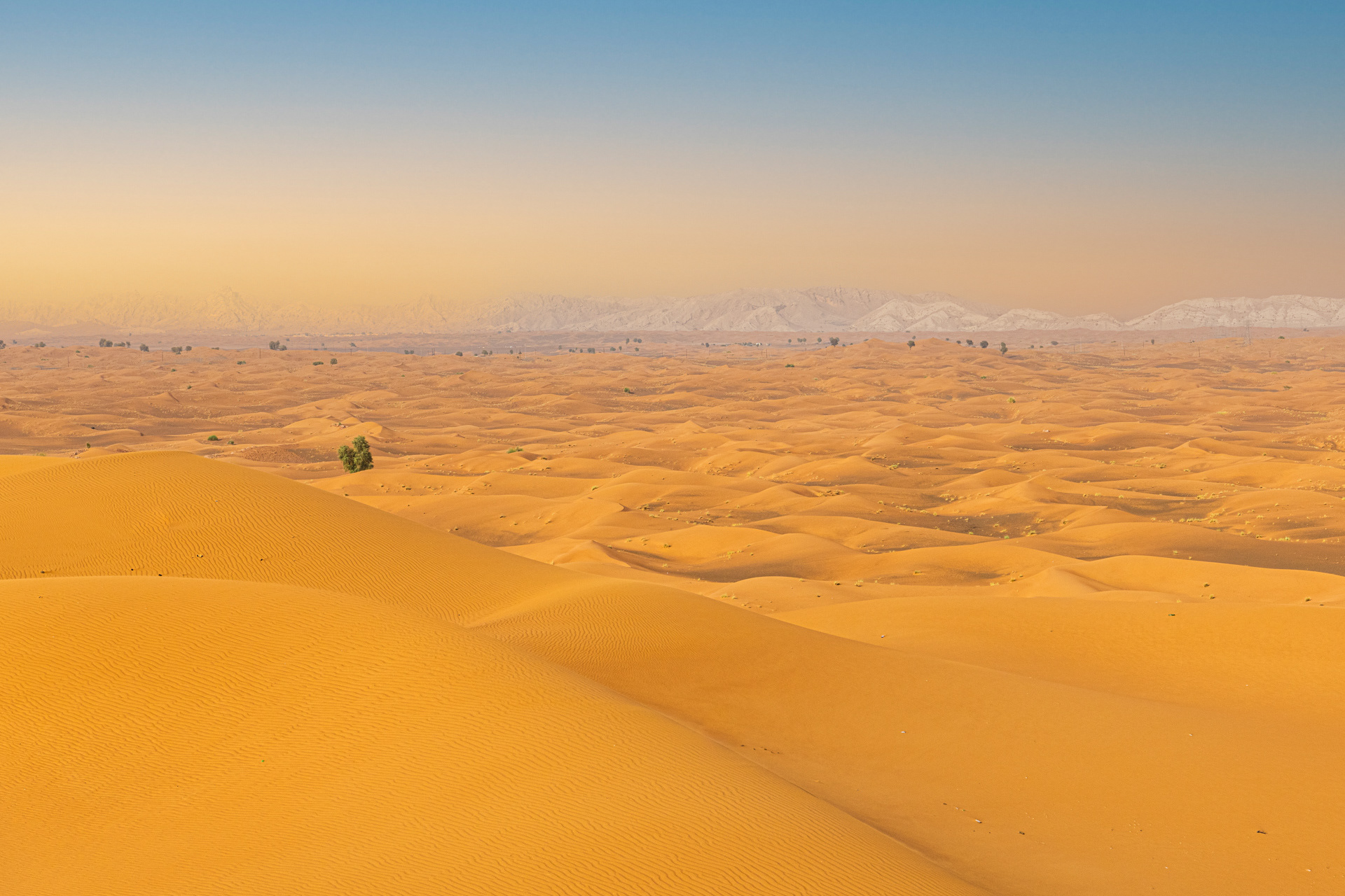 Dubaï, Émirats Arabes Unis