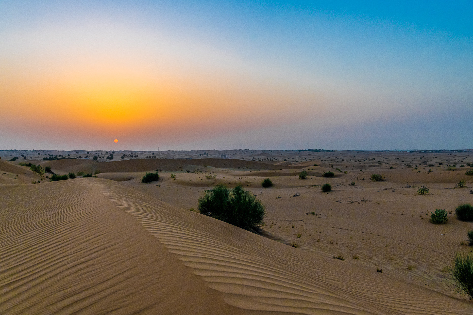 Dubaï, Émirats Arabes Unis