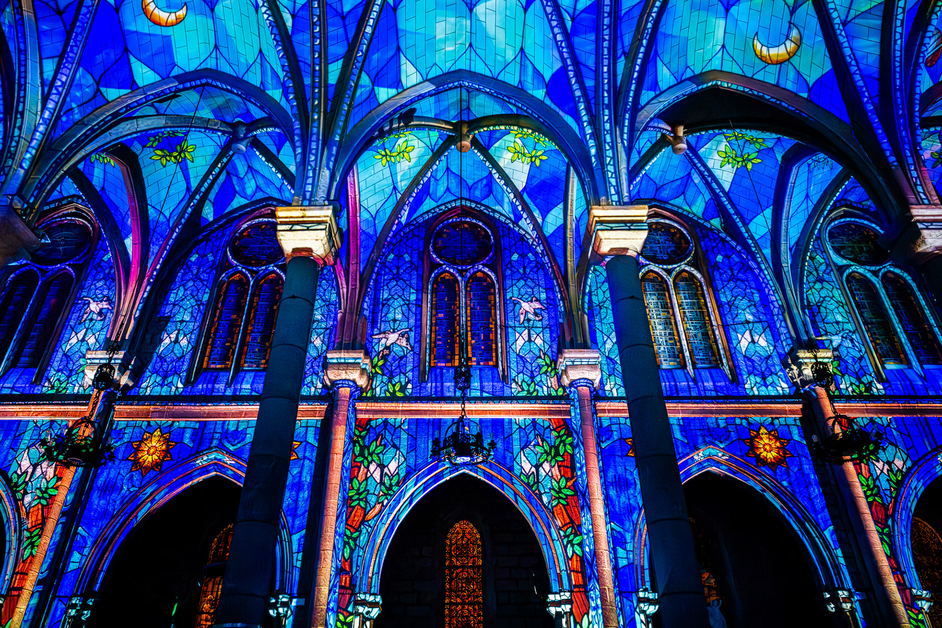 Luminiscence, Cathédrale de Nice 2025
