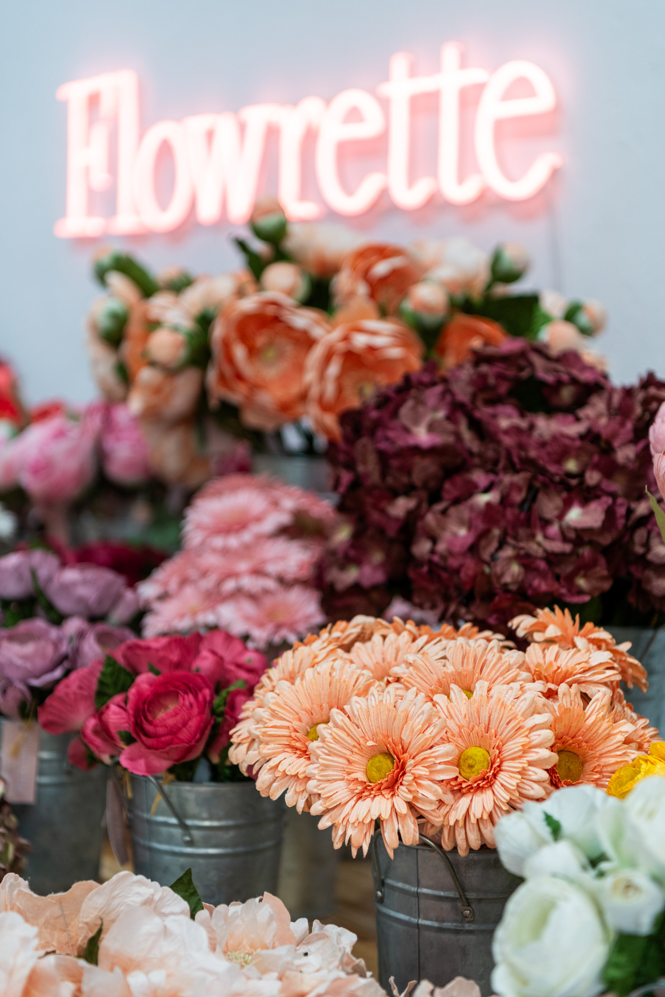 Pop up Flowrette, Nice