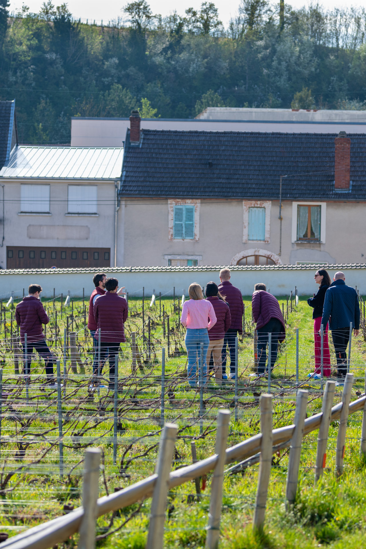 Reportage photo, Maison de champagne Krug