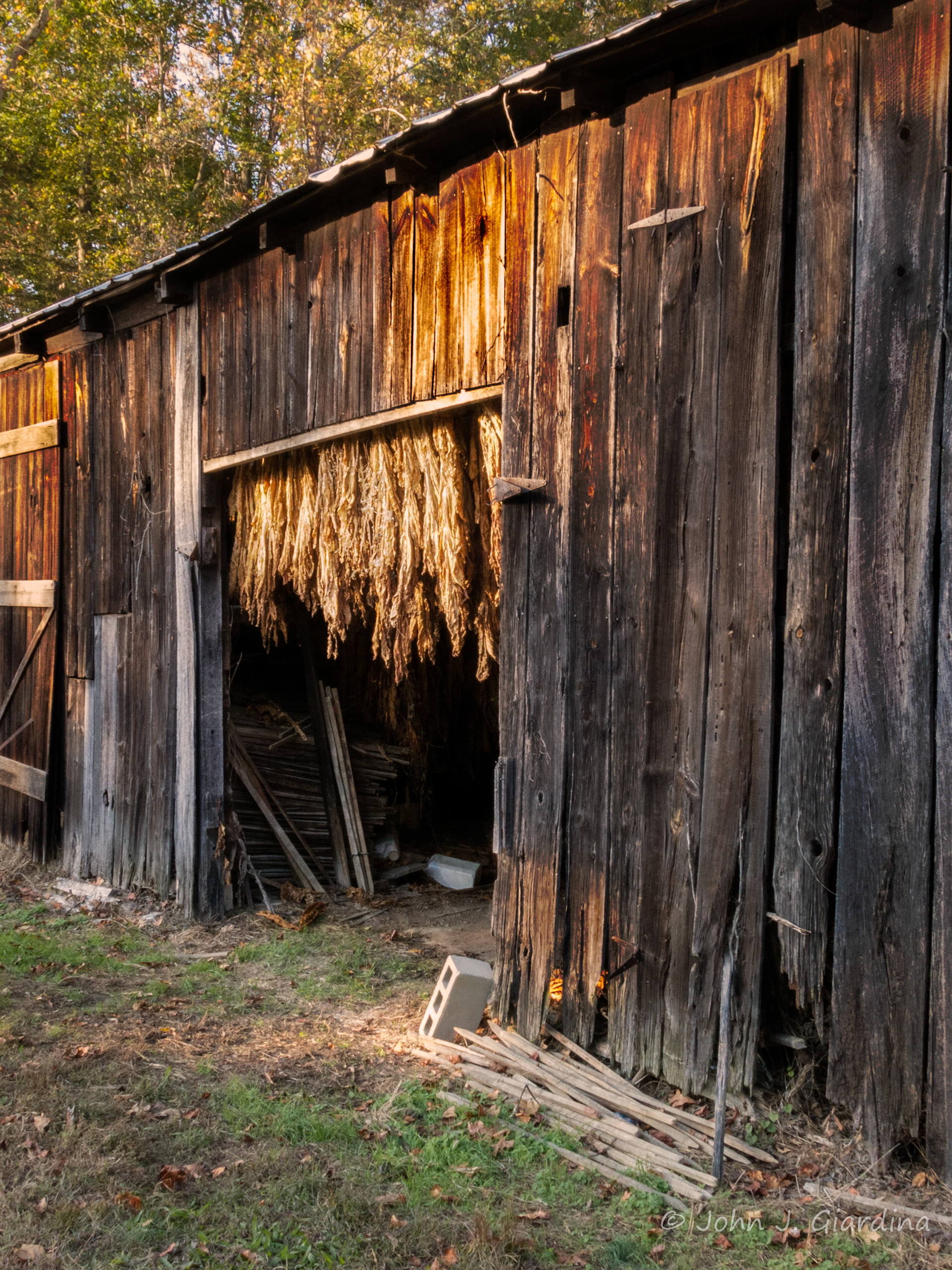 Spider Hall Tobacco Barn