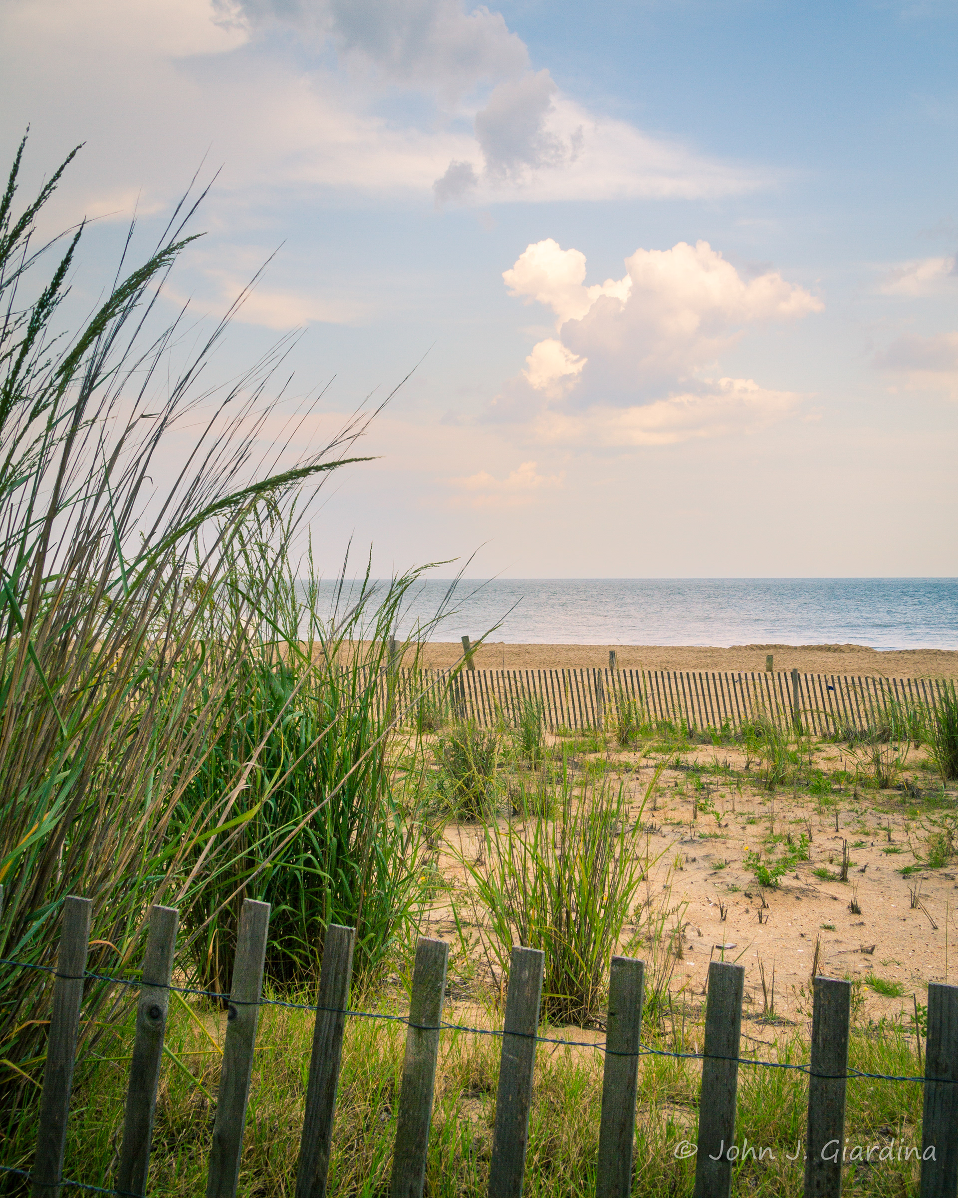 A View from the Dunes