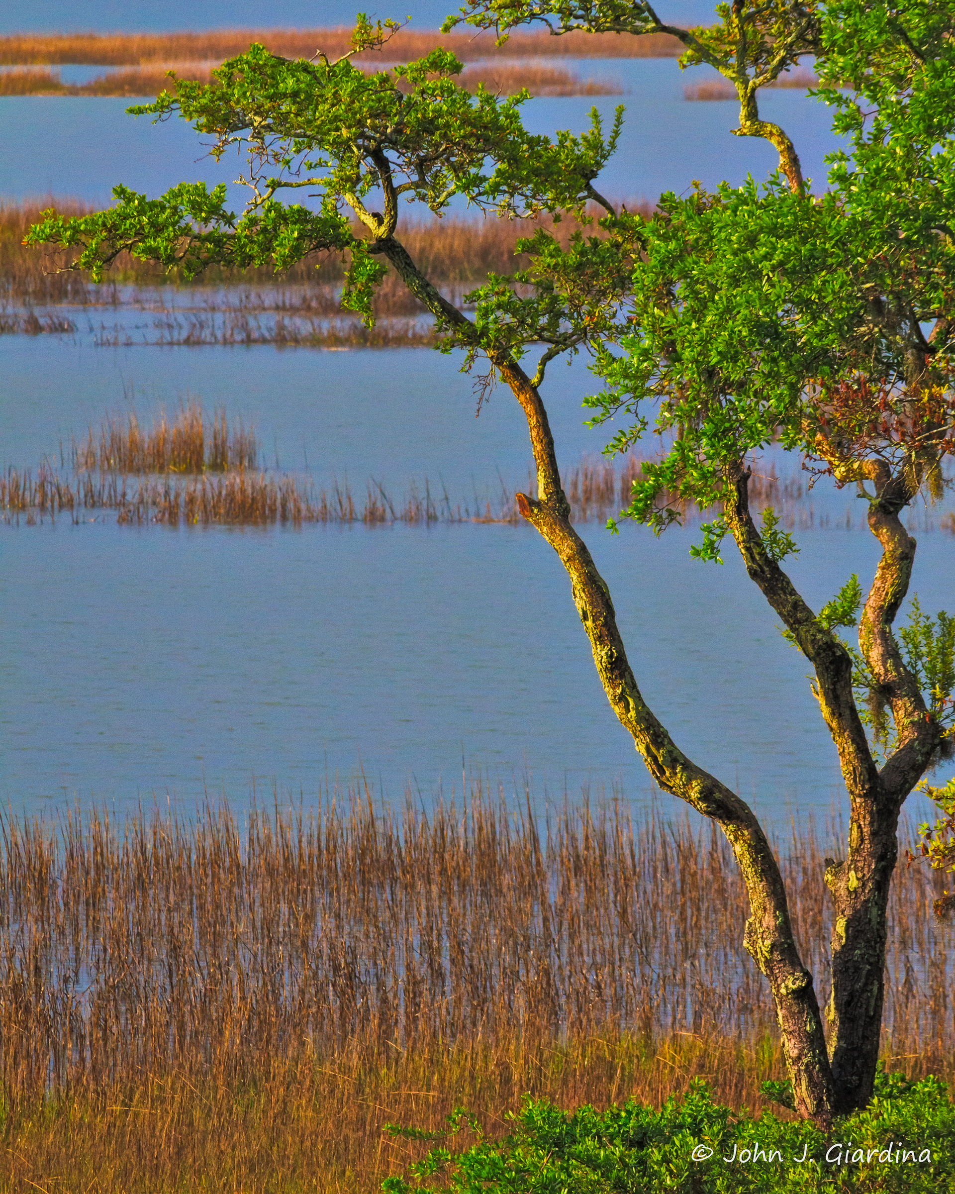 The Edge of Broad Creek