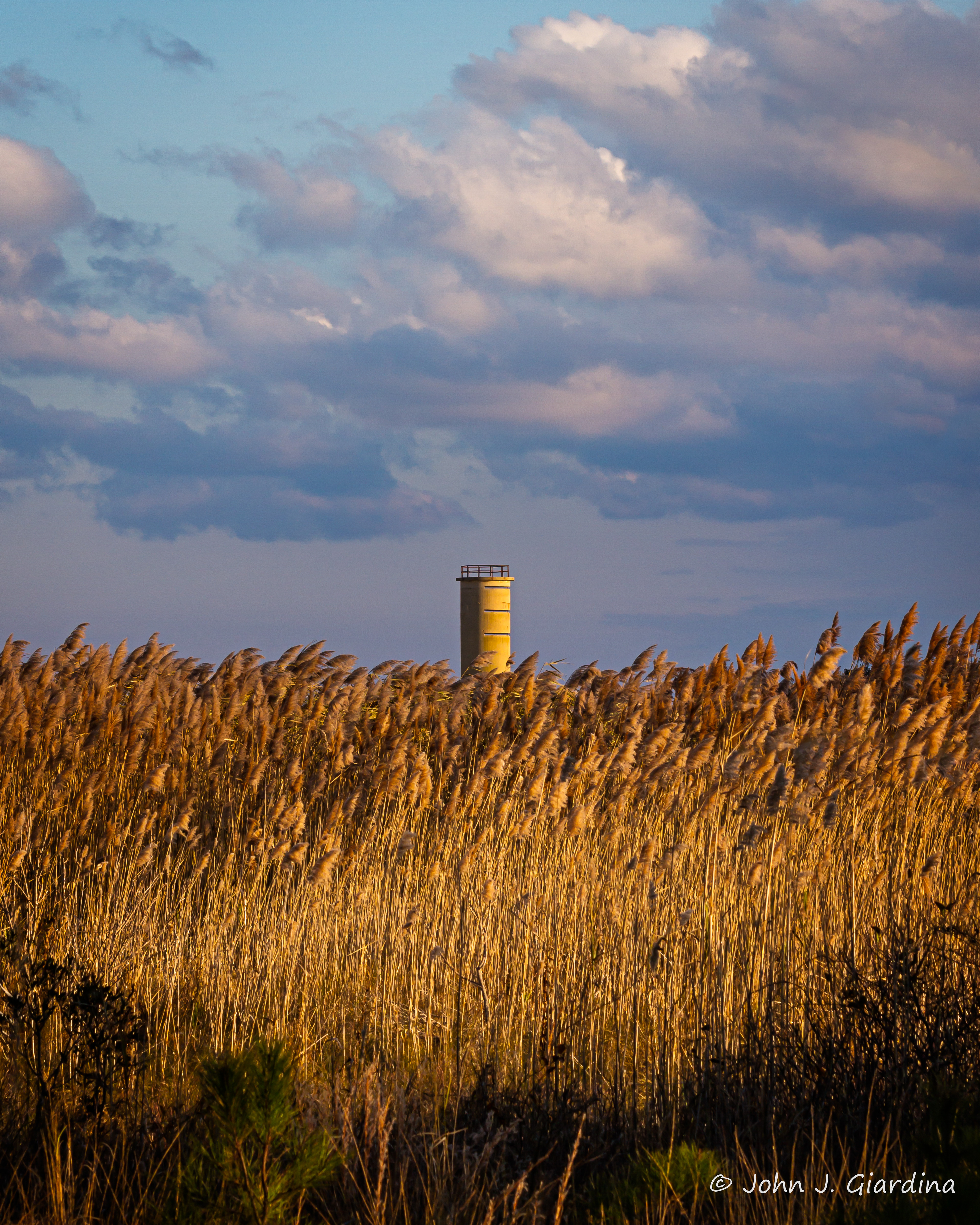 Number Six at Attention