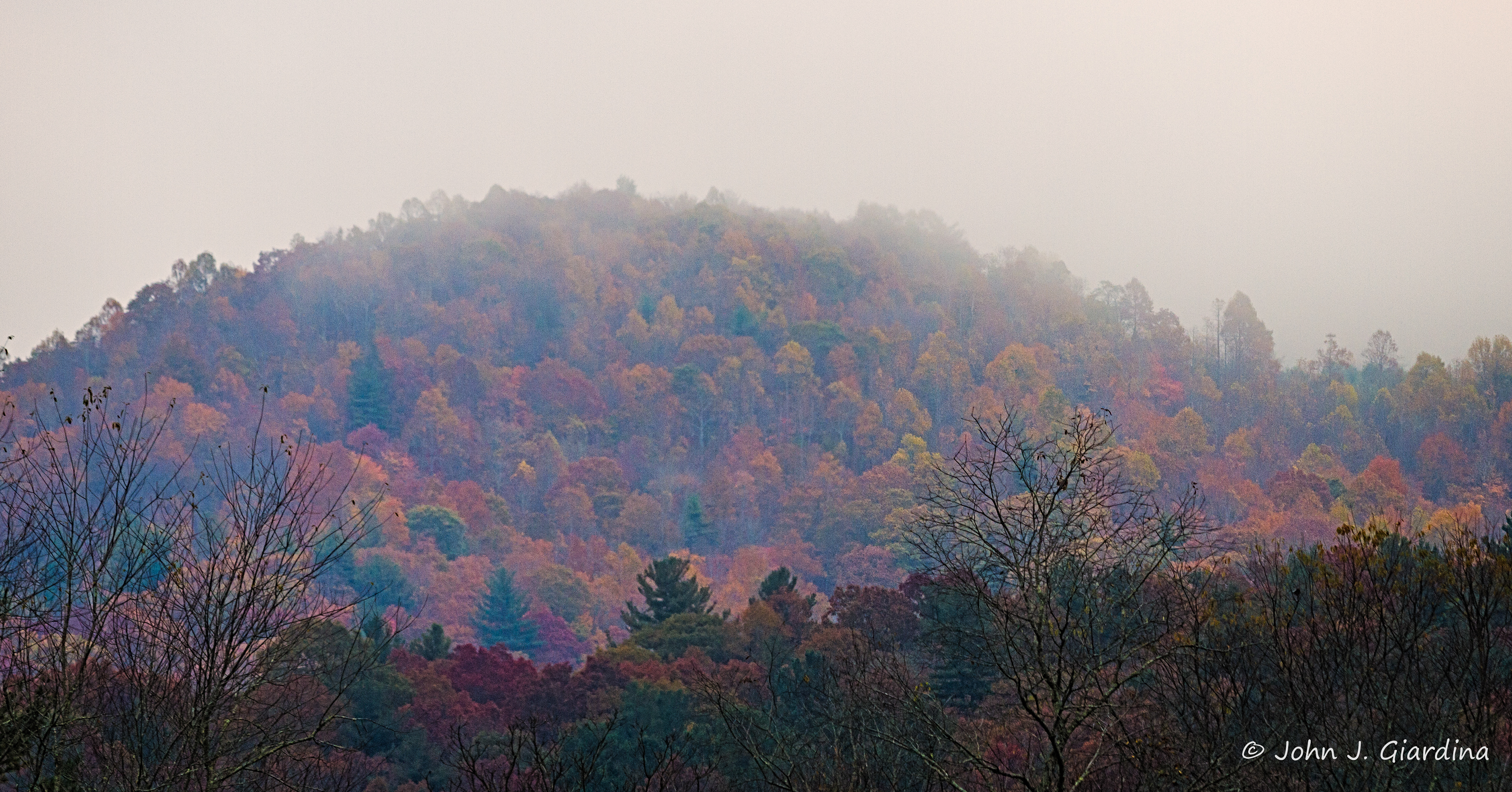 Appalachian Autumnal Veil