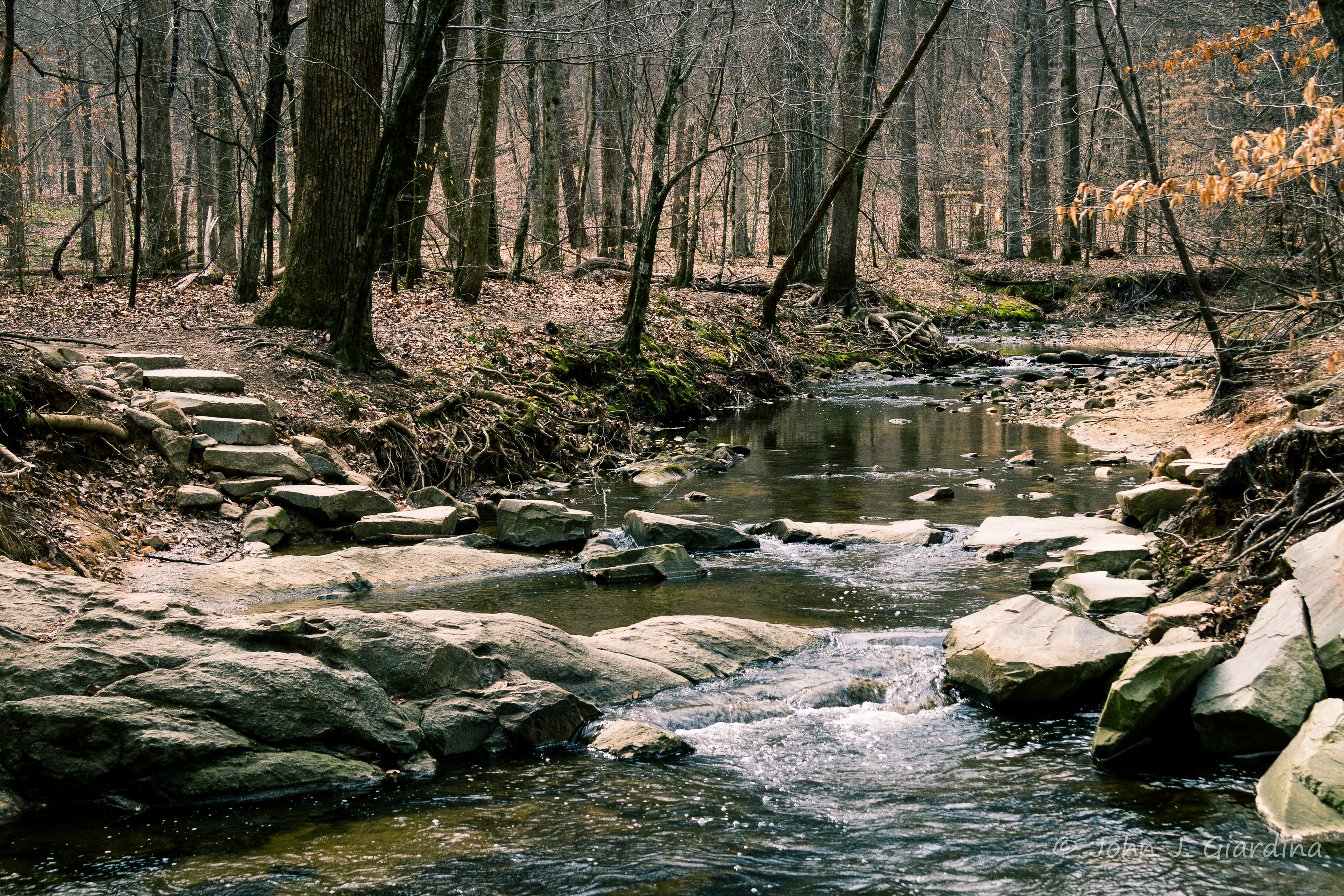 Reedy Creek Crossing