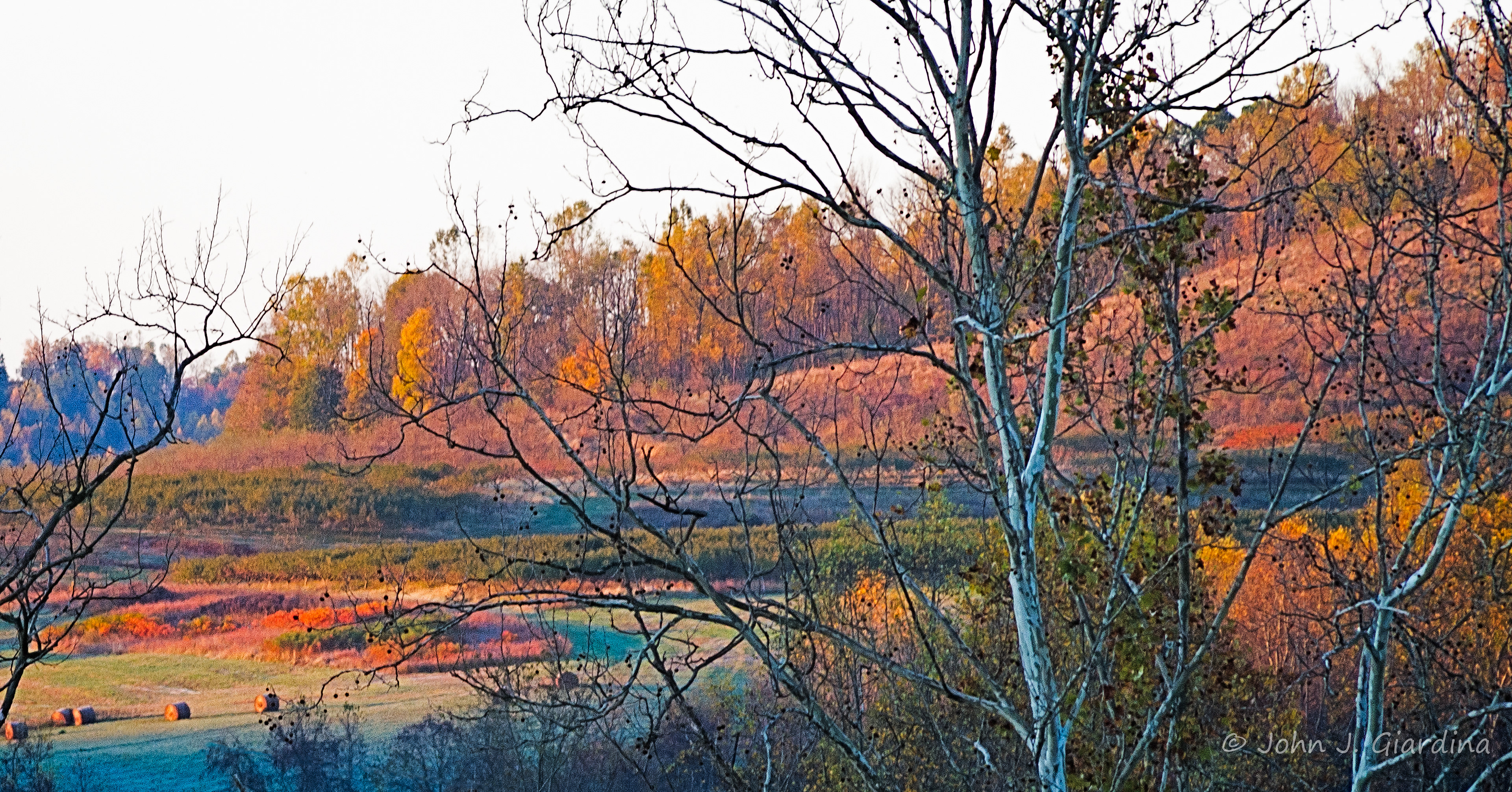 Up Hill and Down Dale