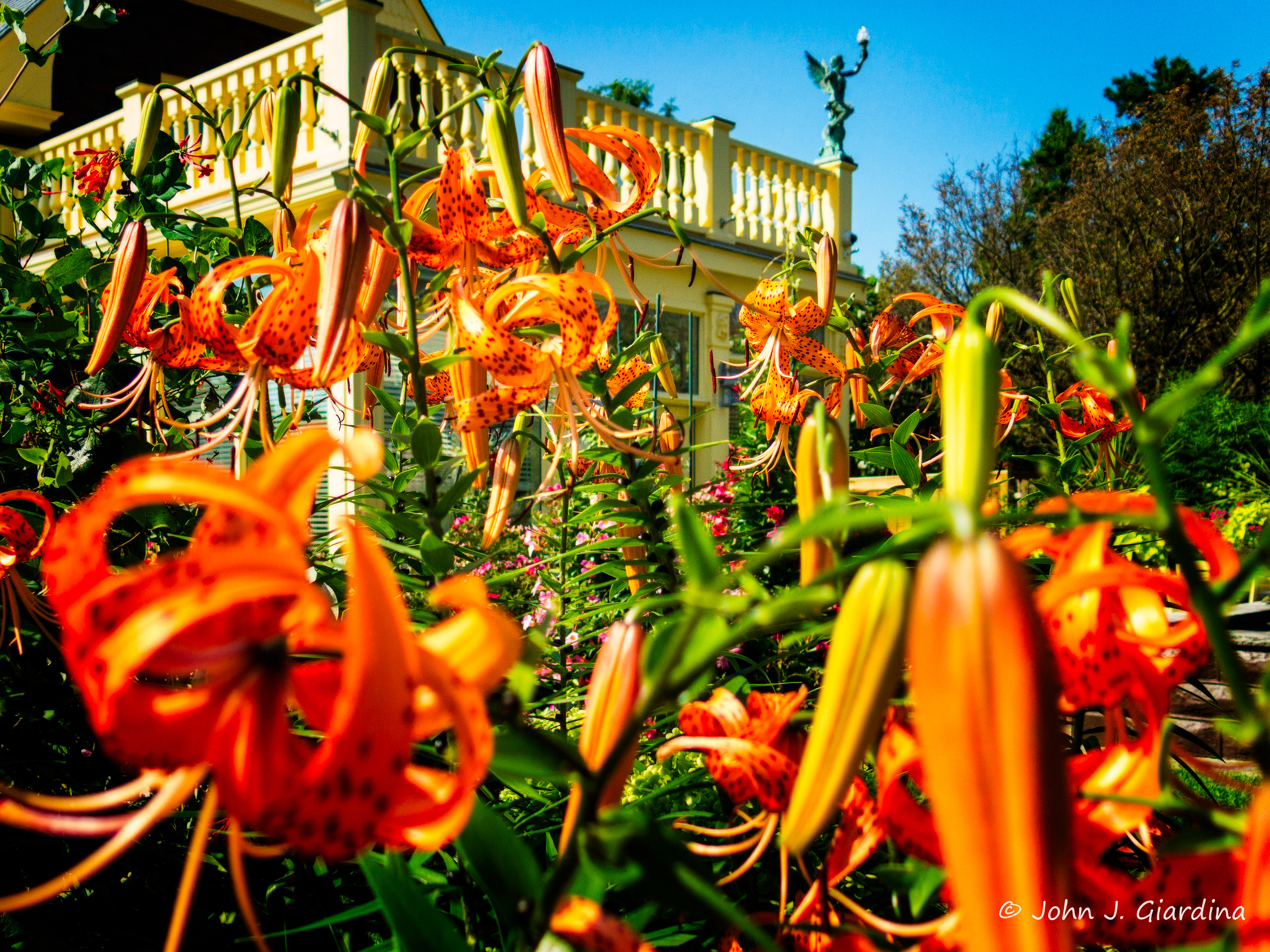 Garden of the Tigers