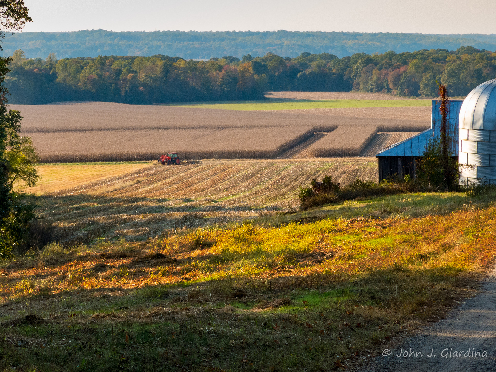 Spider Hall Farm