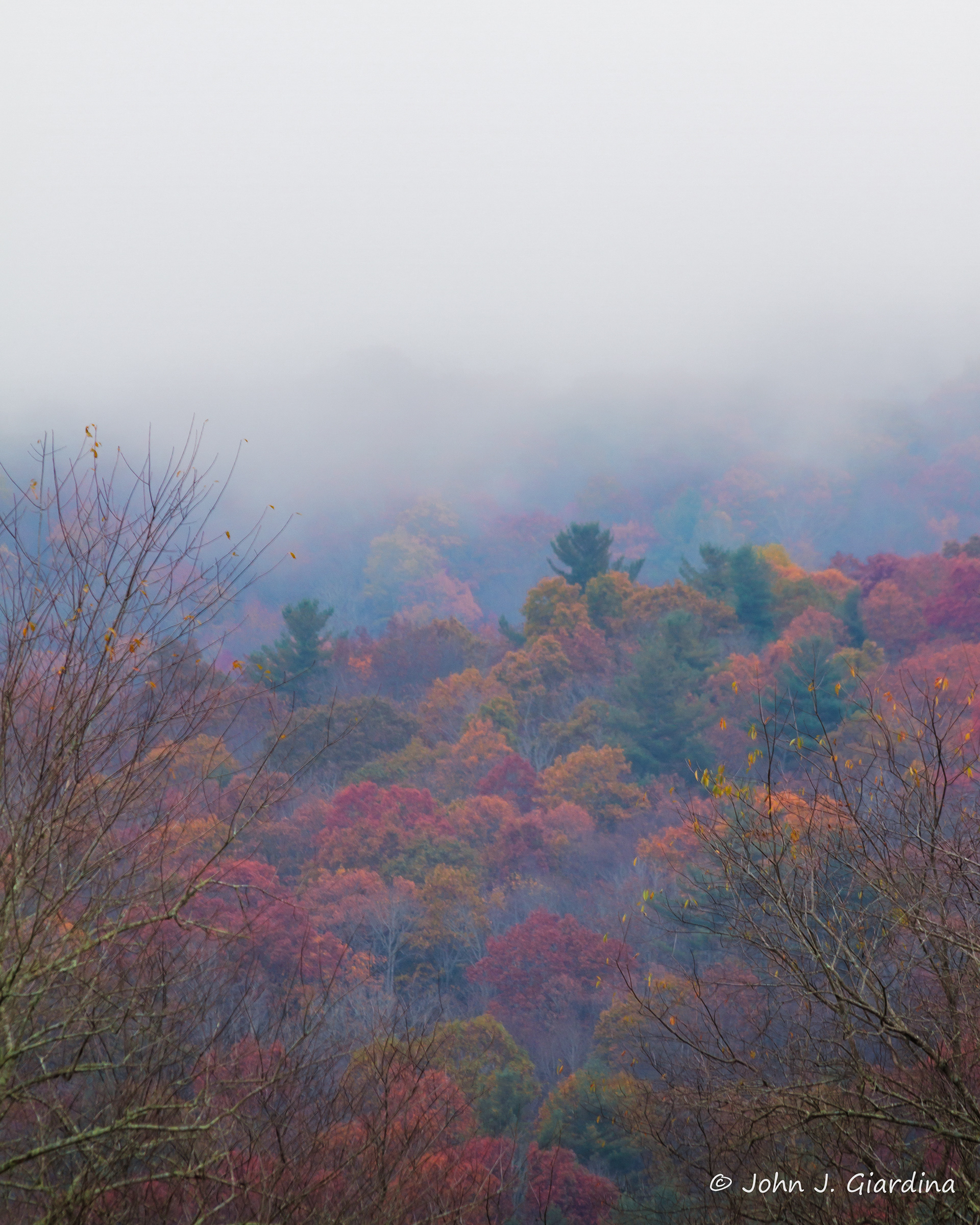 Mountain Mist Kaleidoscope