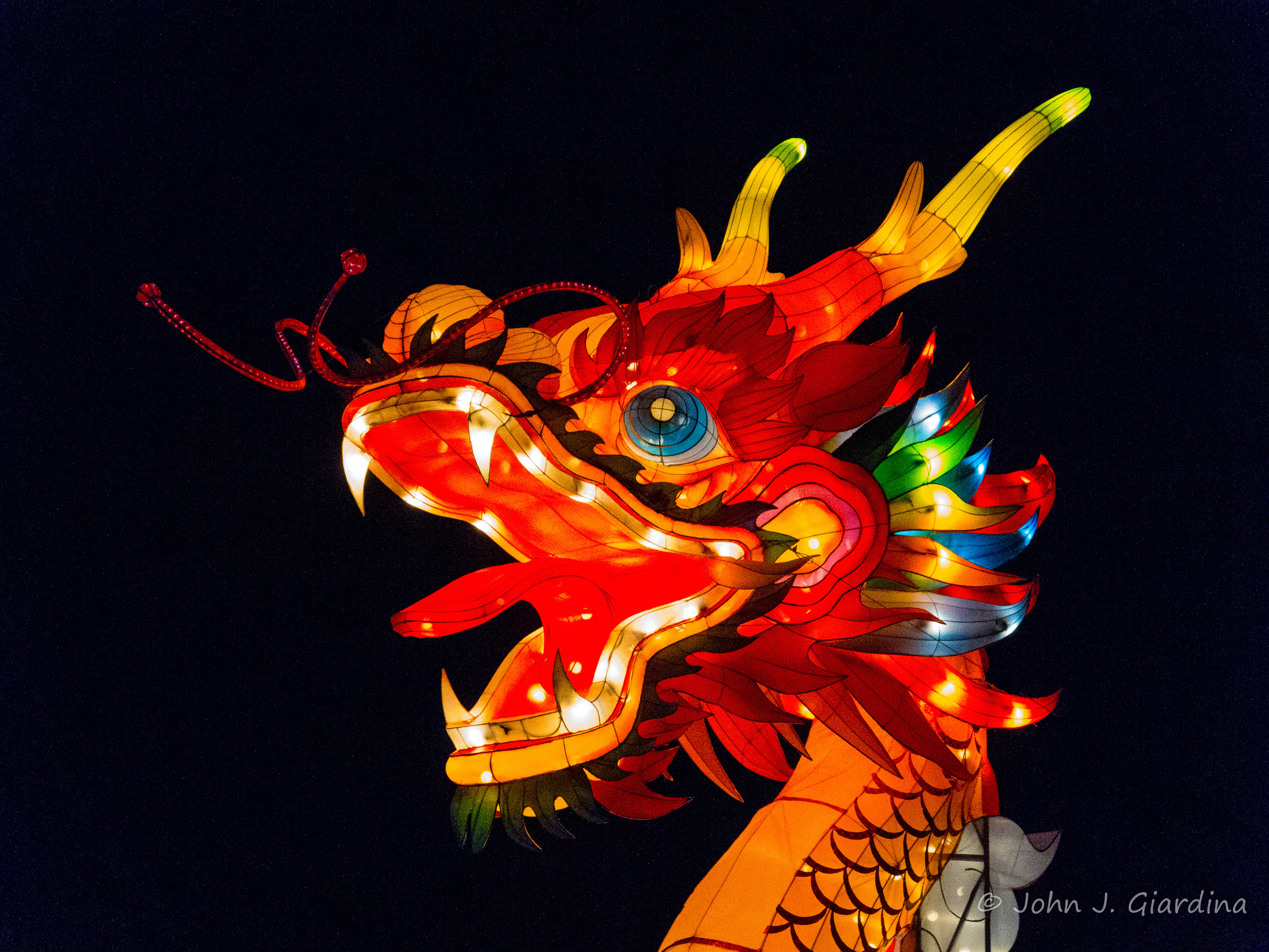 Chinese Dragon