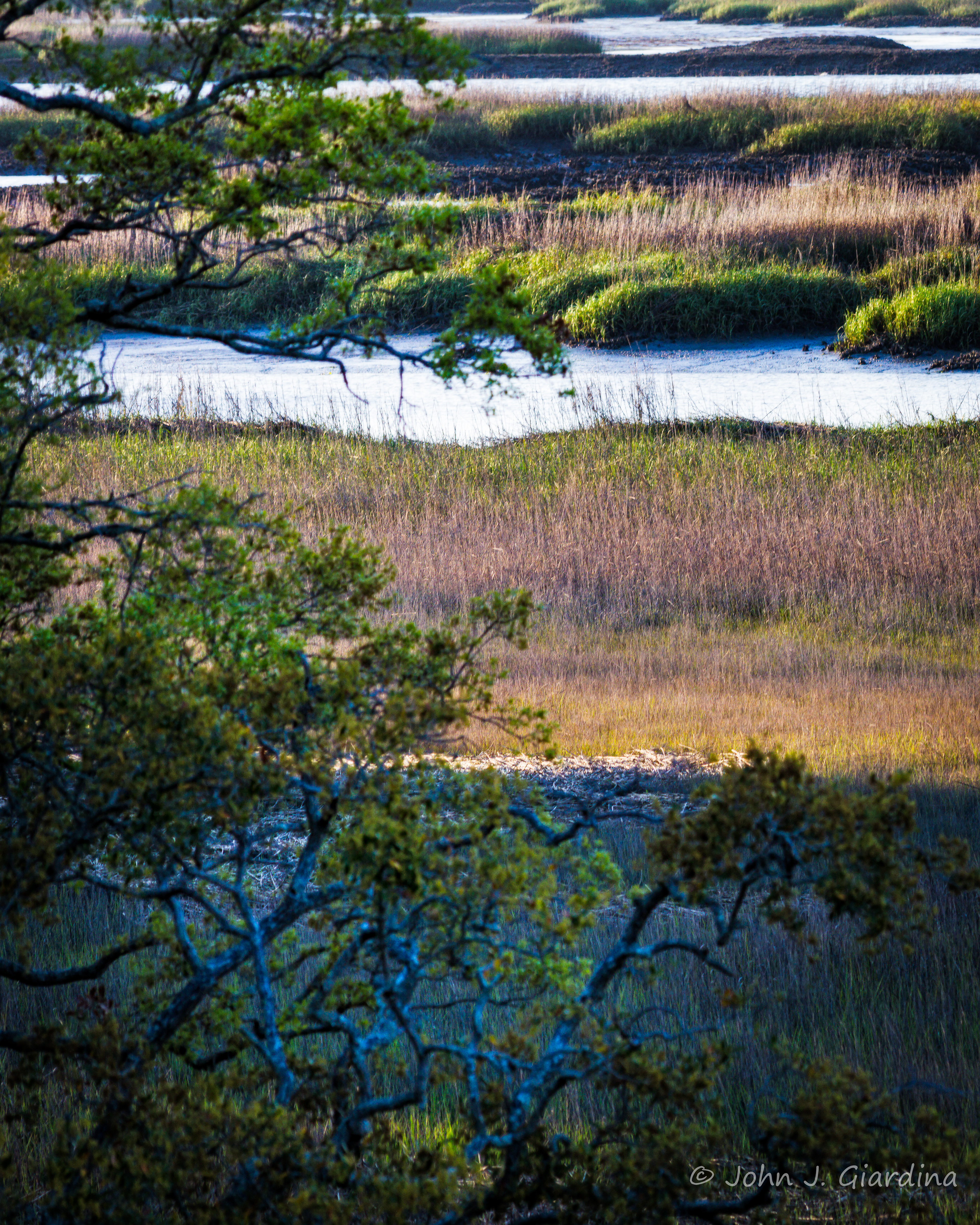 Broad Creek Bumps and Brambles