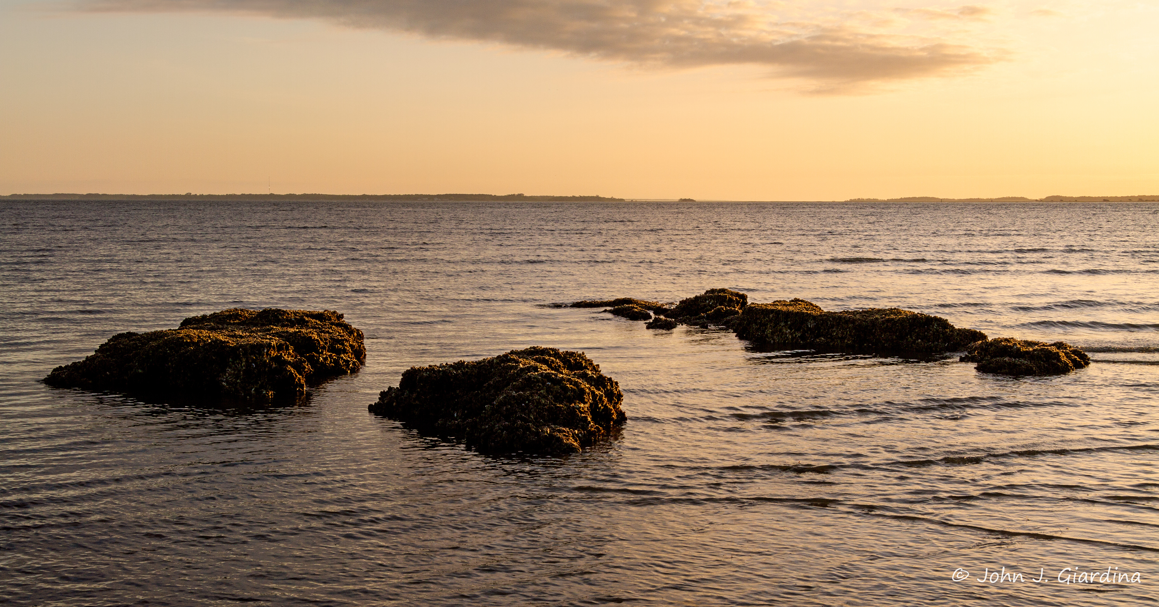Oyster Reefs at Low Tide