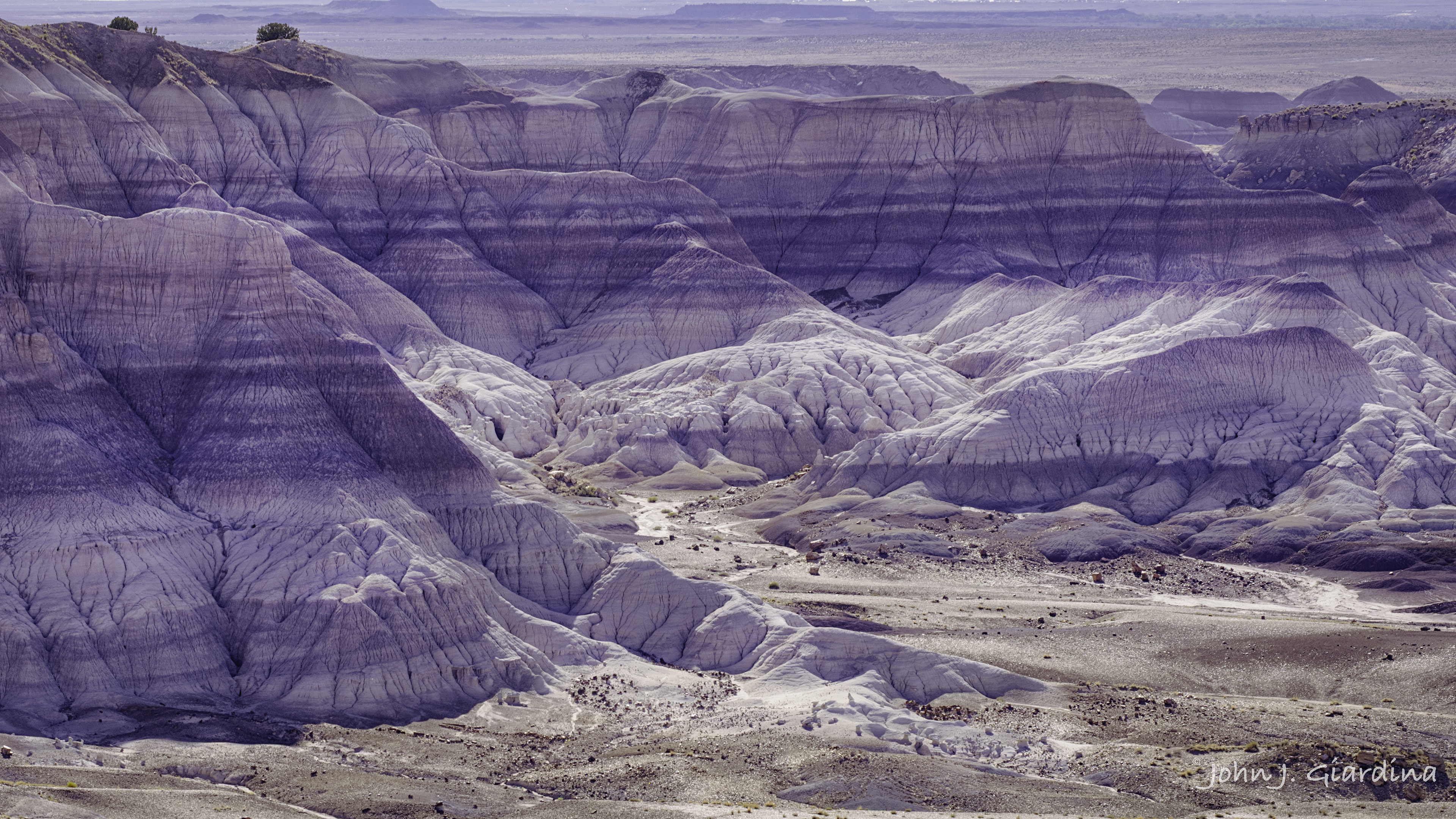 Painted Desert I