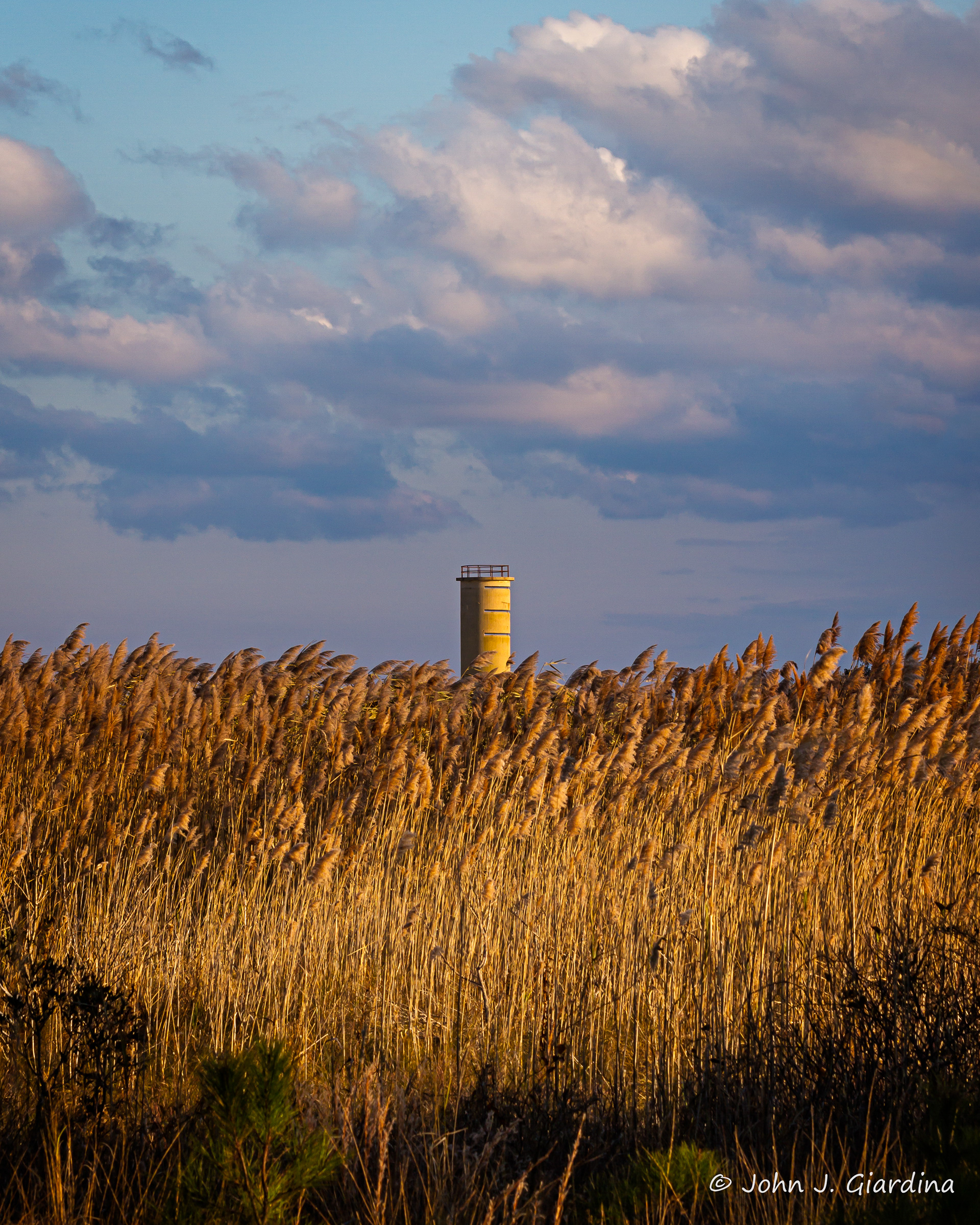 Number Six at Attention