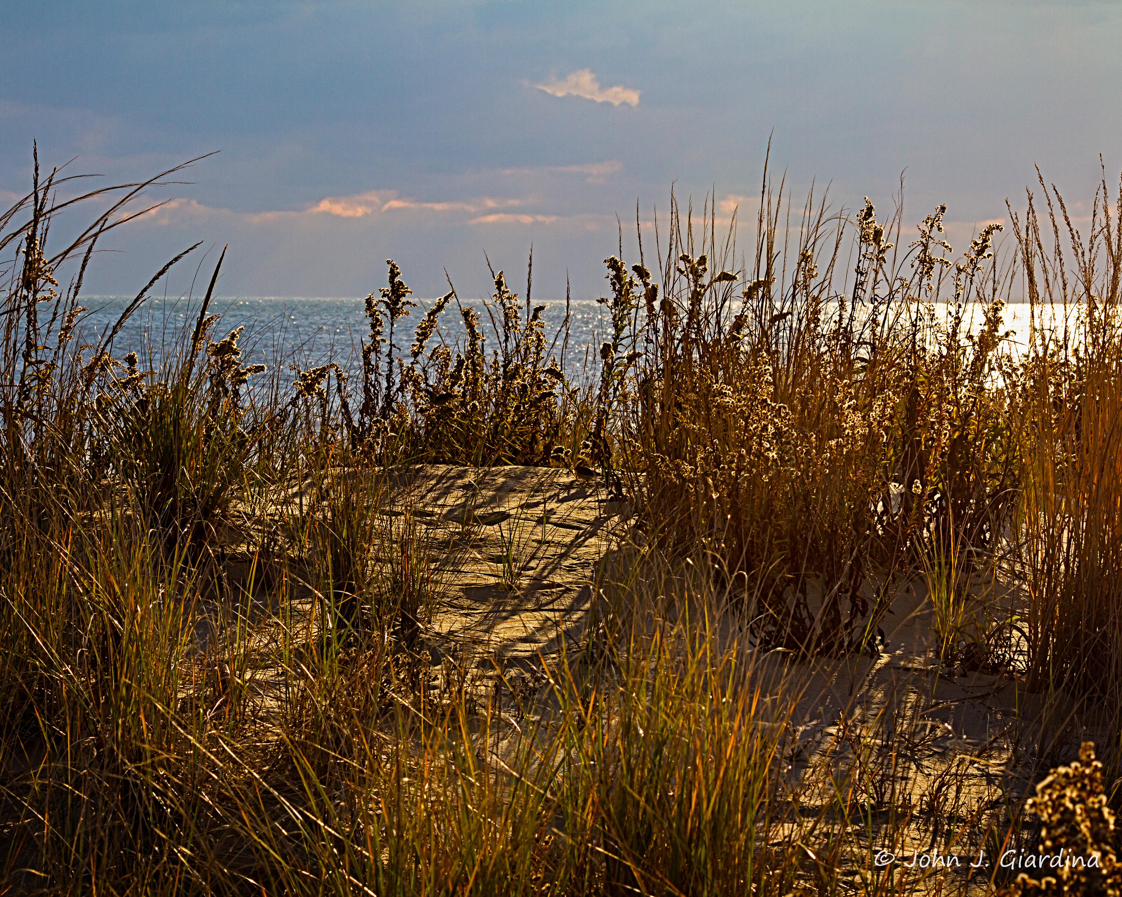 Golden, Brown, and Delicious