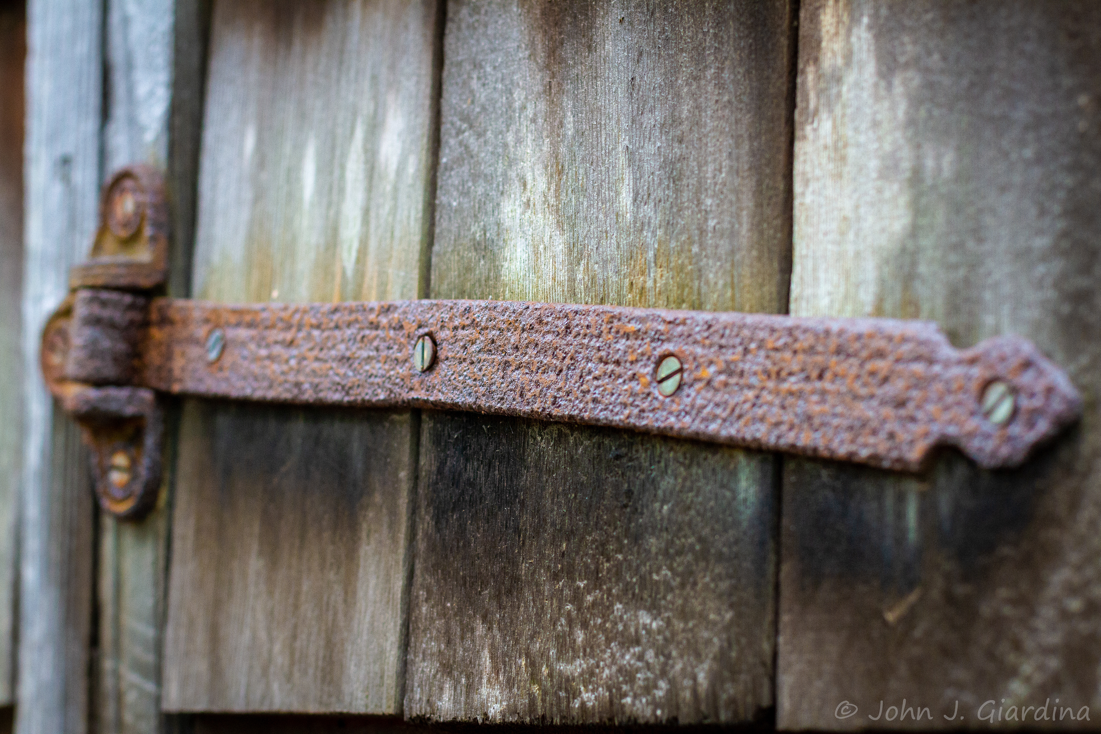 Payntor Studio Door Hinge