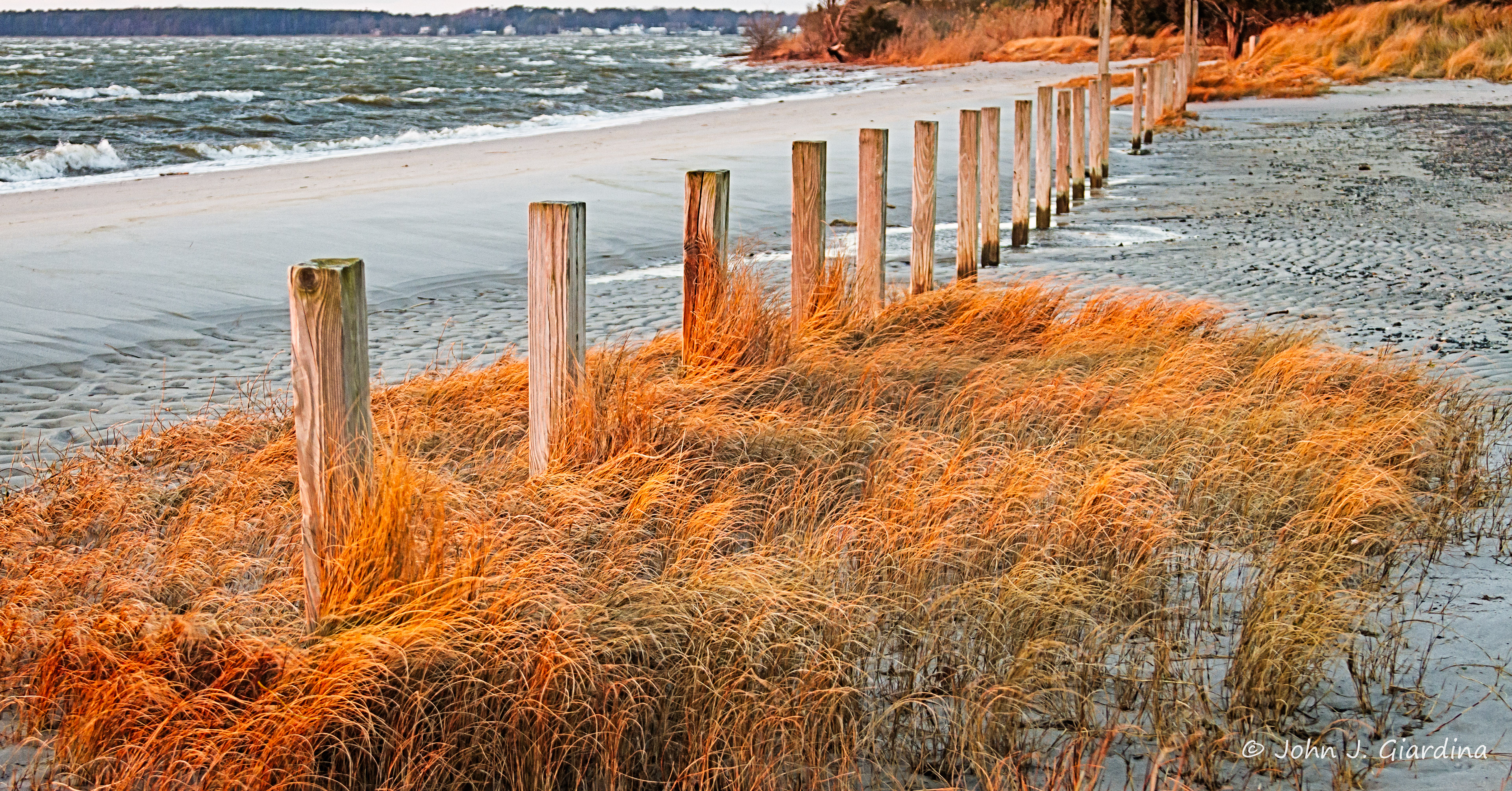 Evening Blaze at New and Coastal