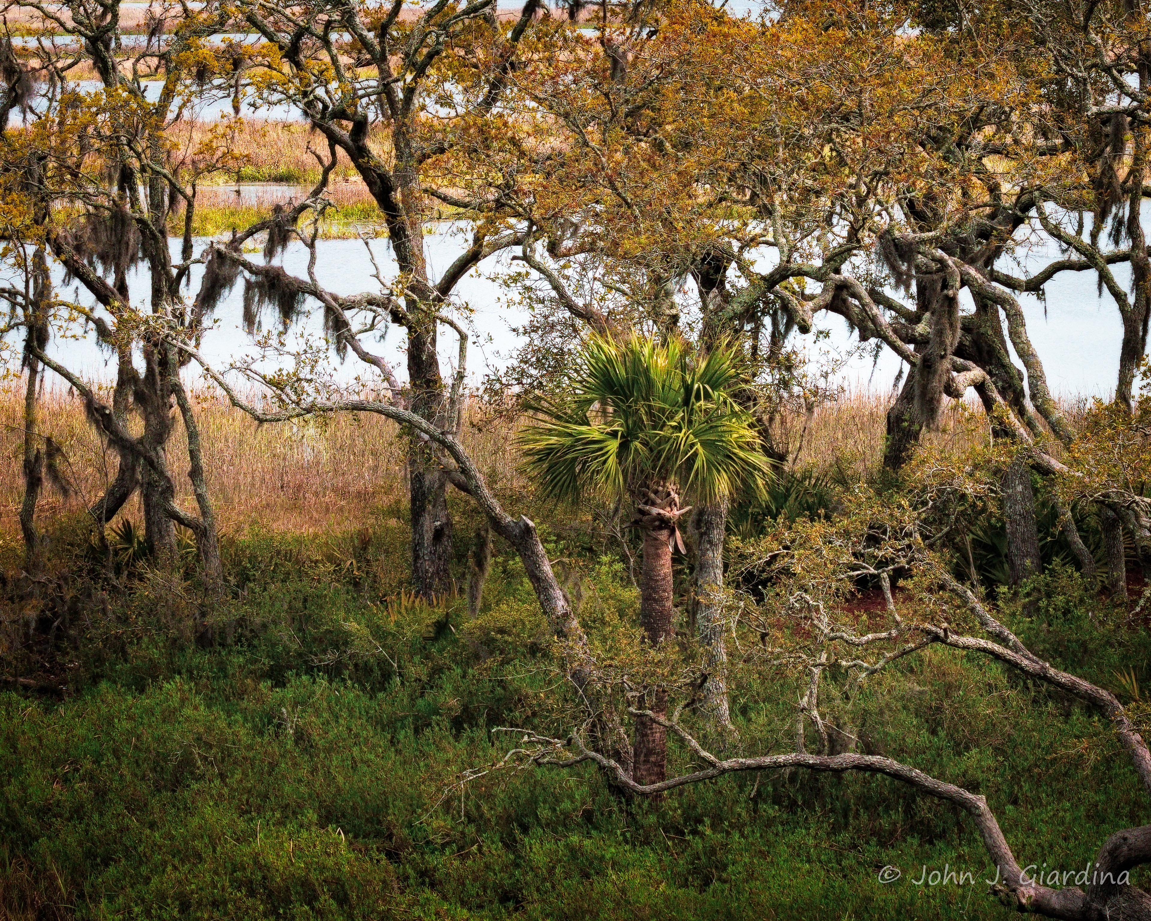 Low Country