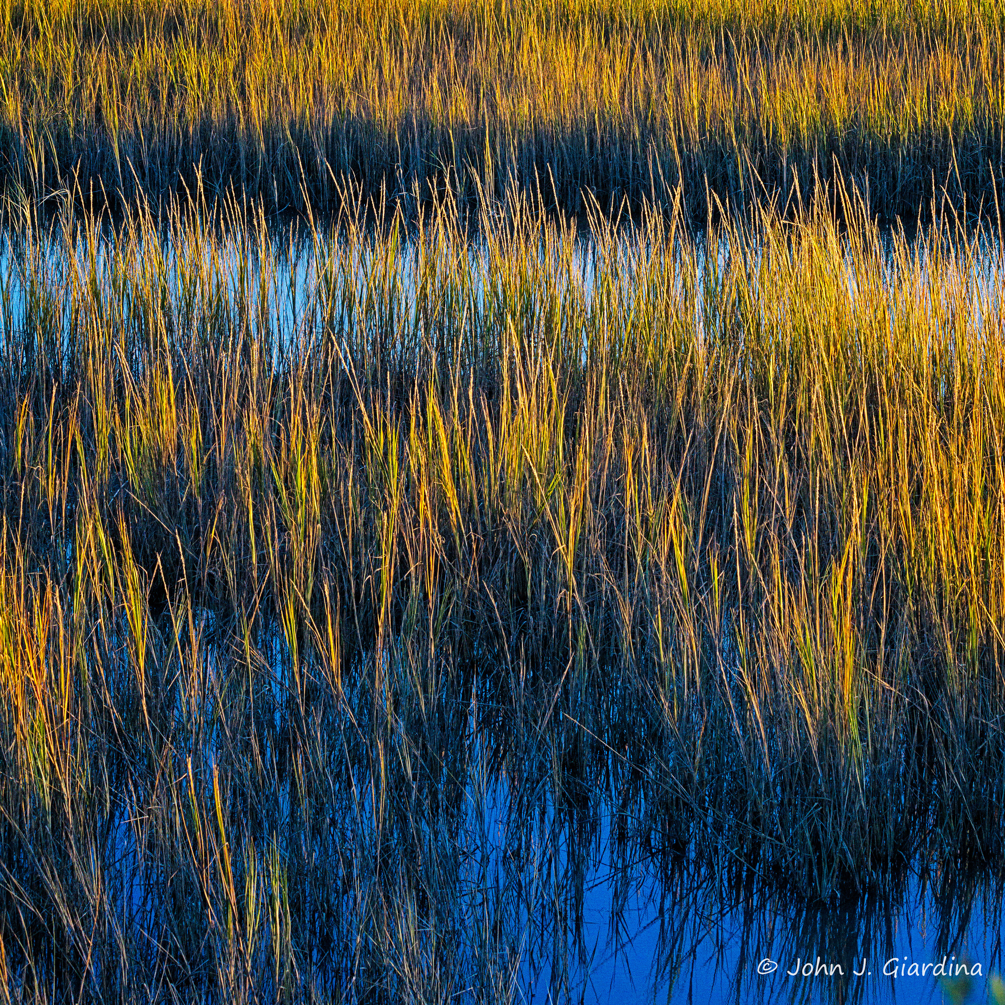 The Eastern Shore of Virginia