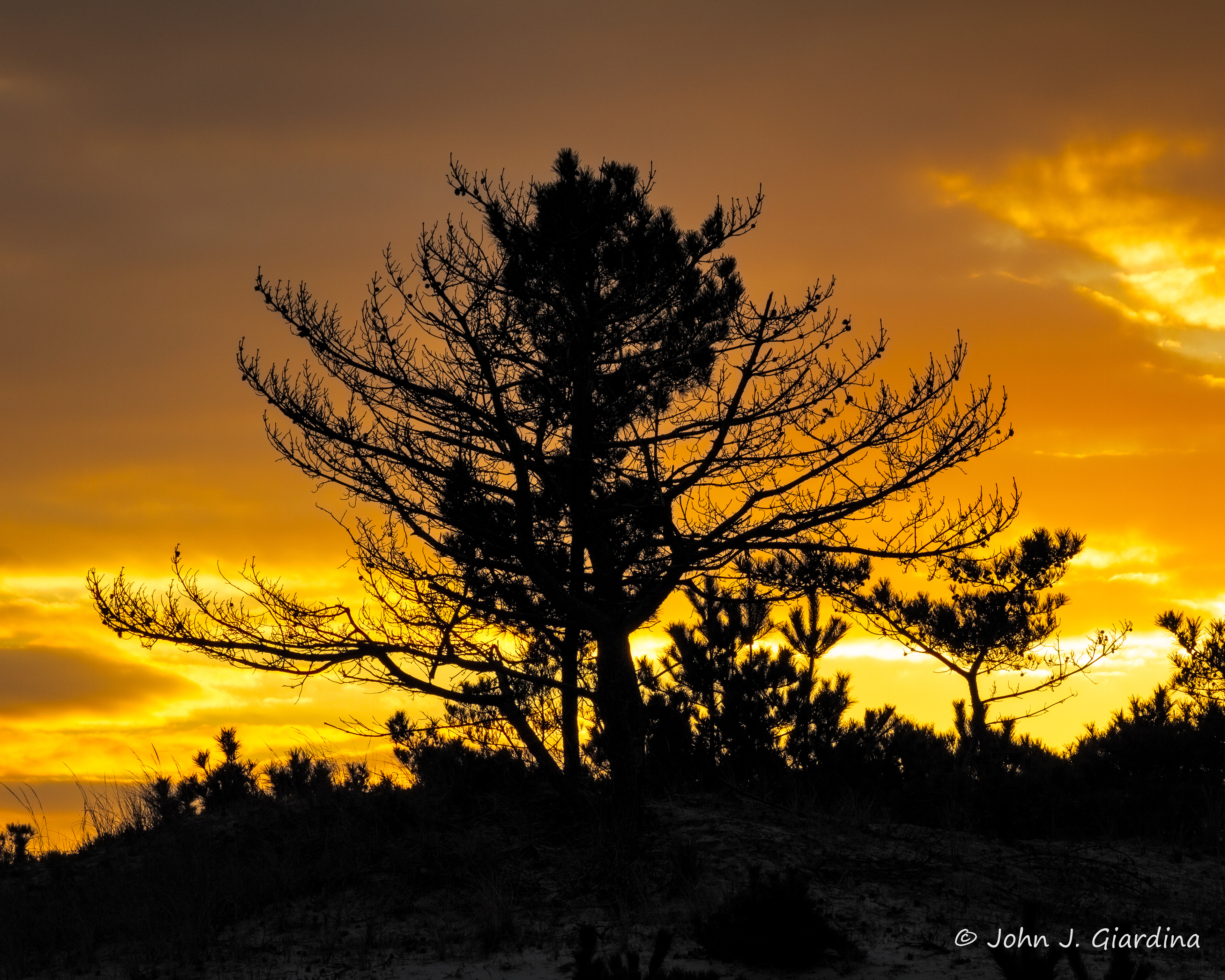 Gold, Frankincense, and Myrrh