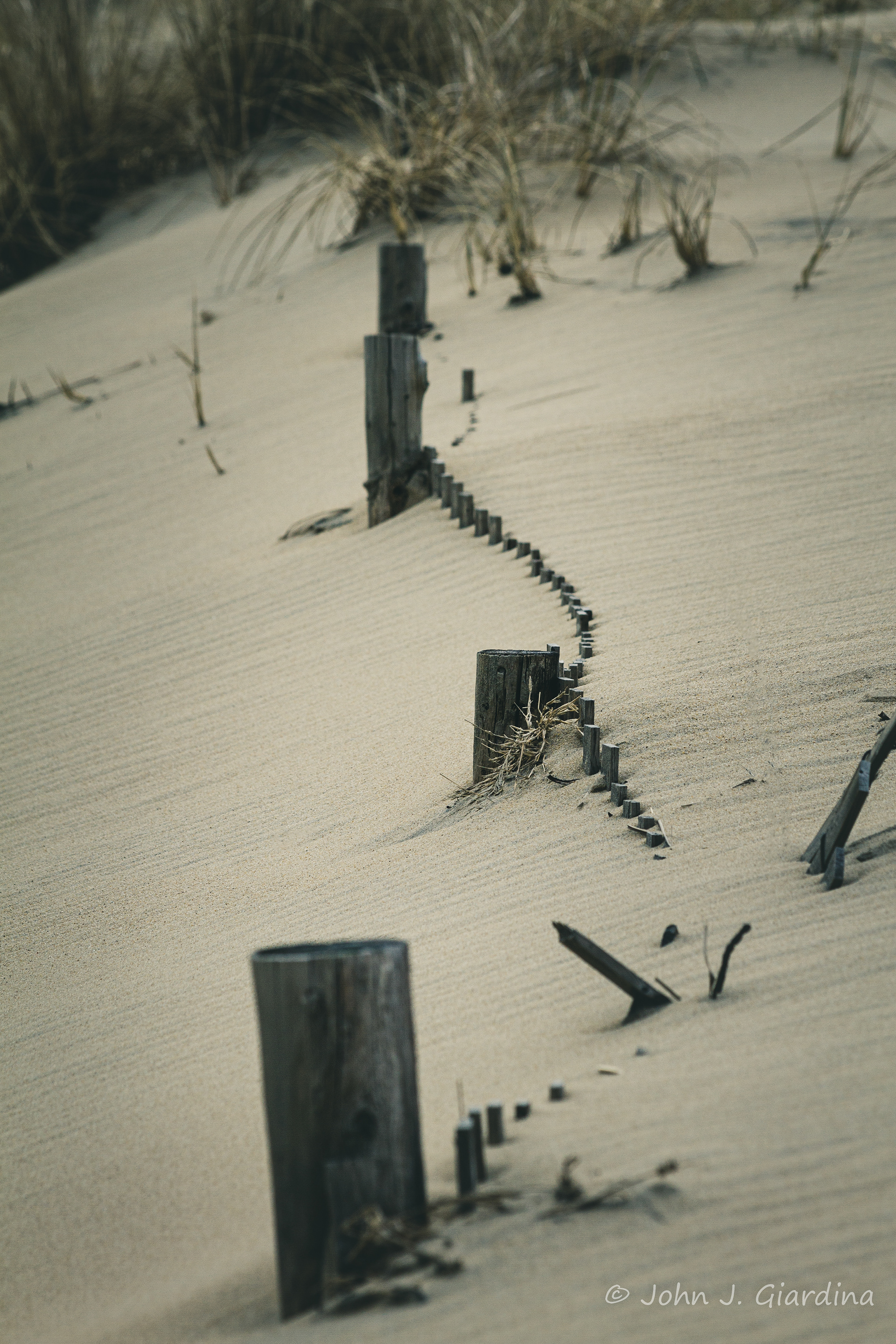 Corduroy Dune Extended