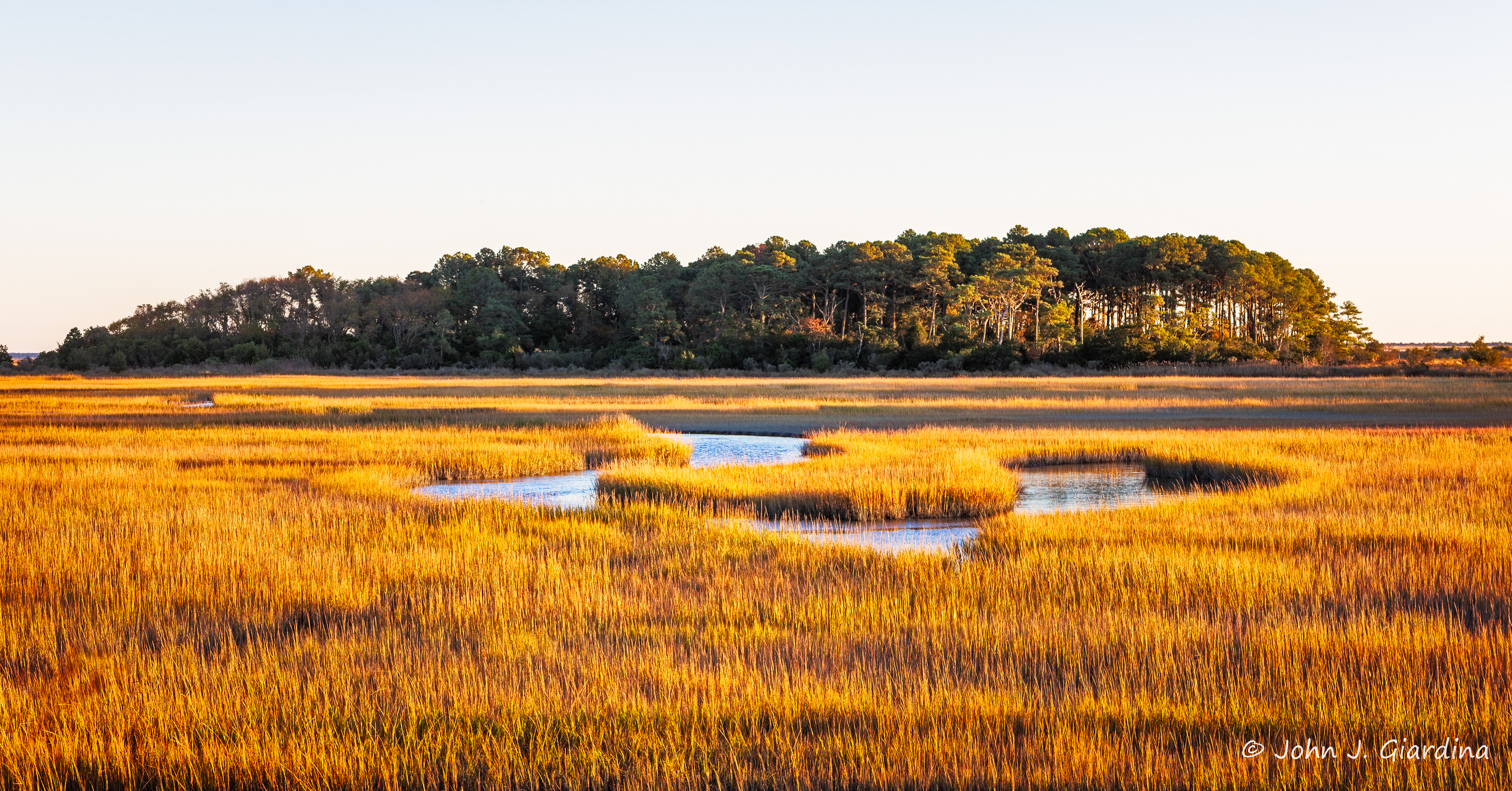 The Grove South of Racoon Creek