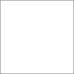 HEX: FFFFFF / RGB: 255, 255, 255 / HSB: 0, 0, 0