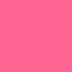 HEX: FF6493 / RGB: 255, 100. 147 / HSB: 342, 61, 100