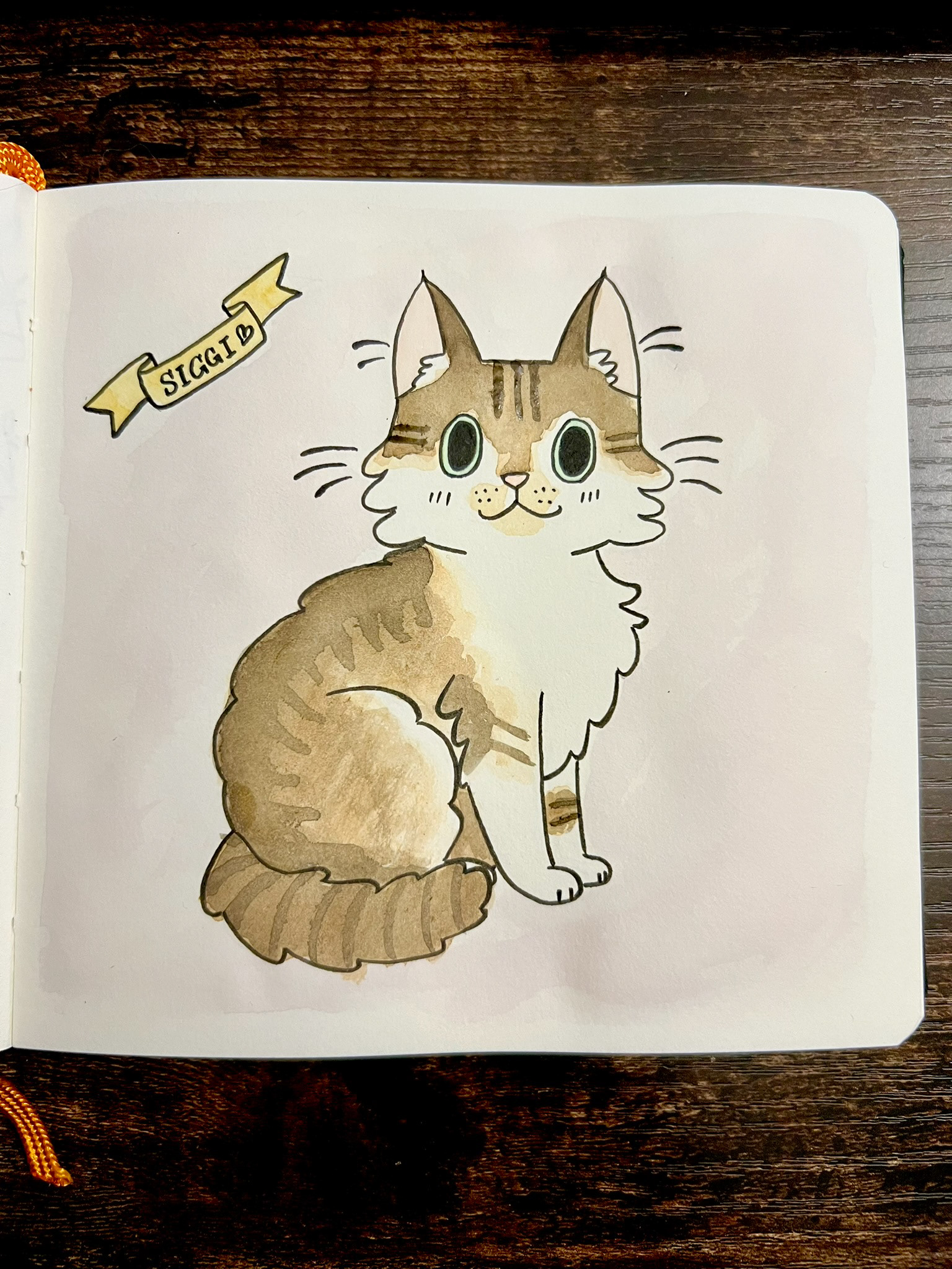 Siggi - watercolor and ink