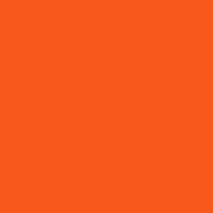 HEX: #F9581D / RGB: 249, 88, 29 / HSB: 16, 88, 98