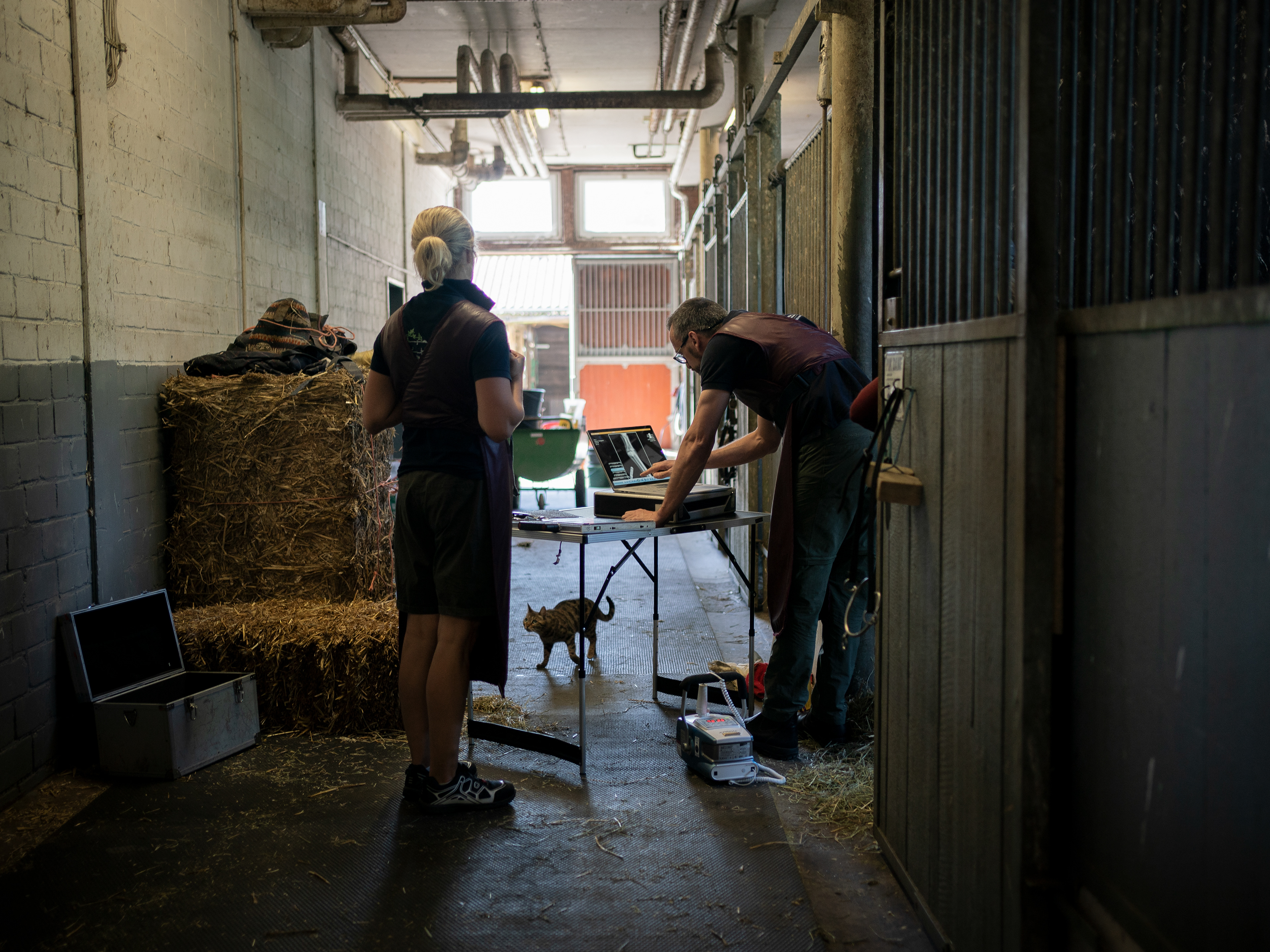 Der Tierarzt kommt auf Verdacht einer Verletztung in den Stall und bringt sein mobiles Röntengerät mit.