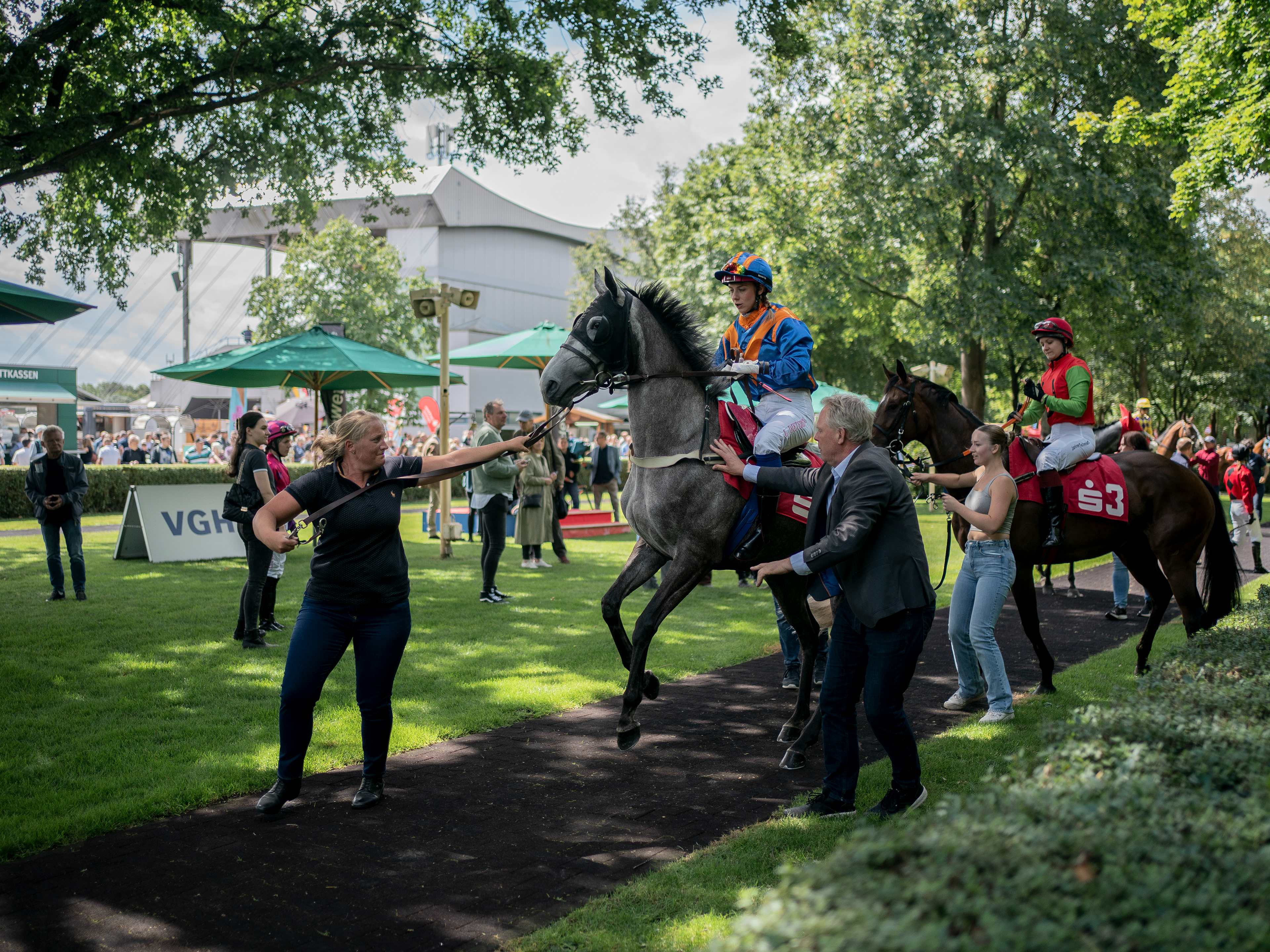 Im Vorführring sind die Pferde häufig nevös. Das schnelle aufsteigen der Jockeys bringt einige Pferde dazu sich aufzubäumen.