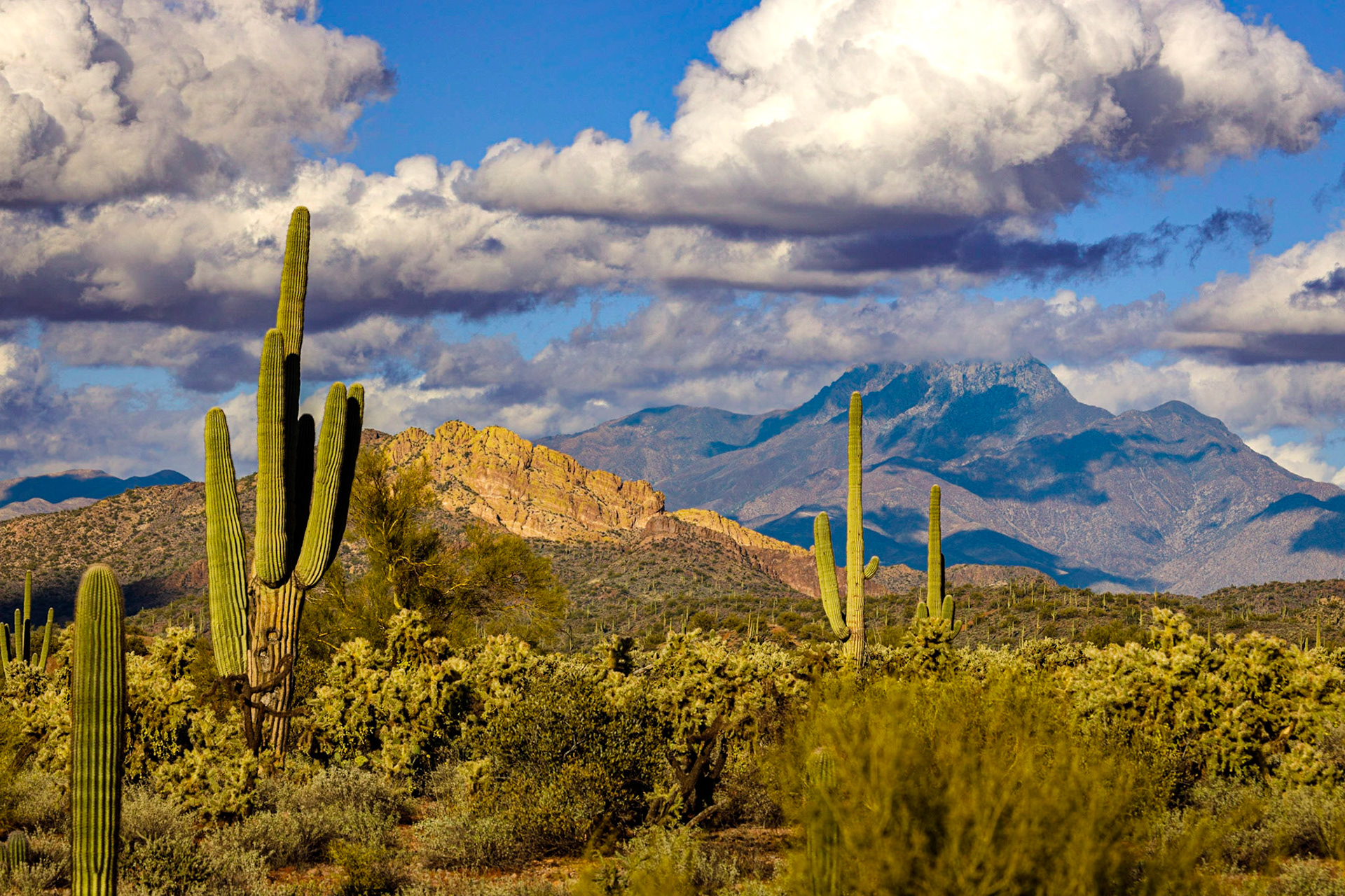 Four Peaks in the Clouds