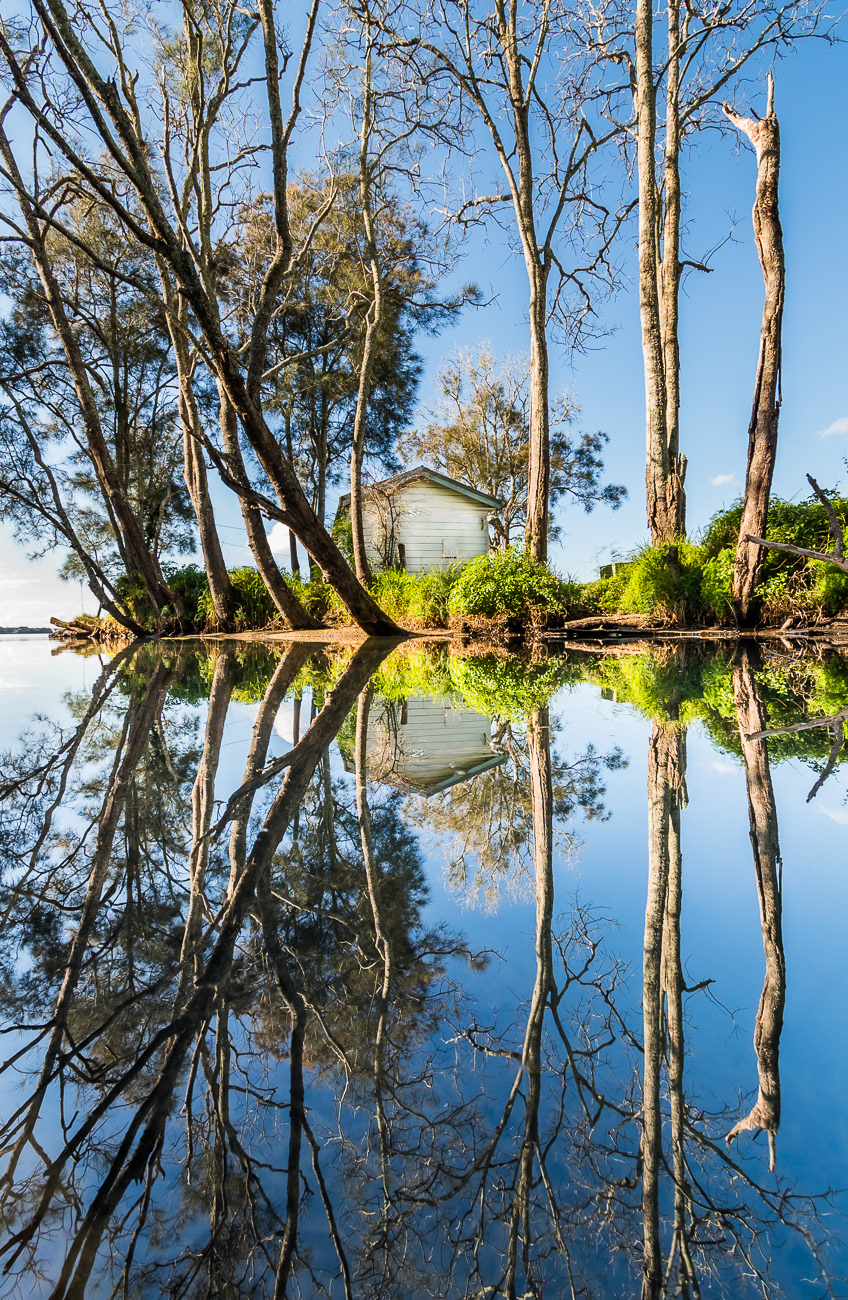 Carbon Copy - Silverwater, Lake Macquarie NSW Australia.  Perfect reflection on a calm day - Image taken 7-7-21