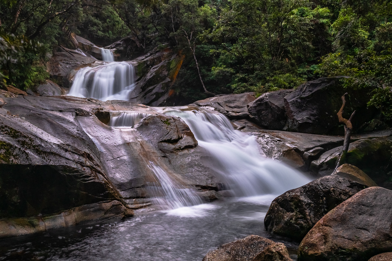Josephine Falls - Wooroonooran National Park, Wooroonooran QLD Australia.  So many magical waterfalls in this area - Image taken 22-8-23