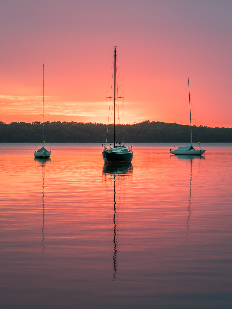 Pretty Pink at Sunrise - Sunshine, Lake Macquarie, NSW Australia.  Lovely colour burst in Sunshine on this morning - Image taken 19-2-19