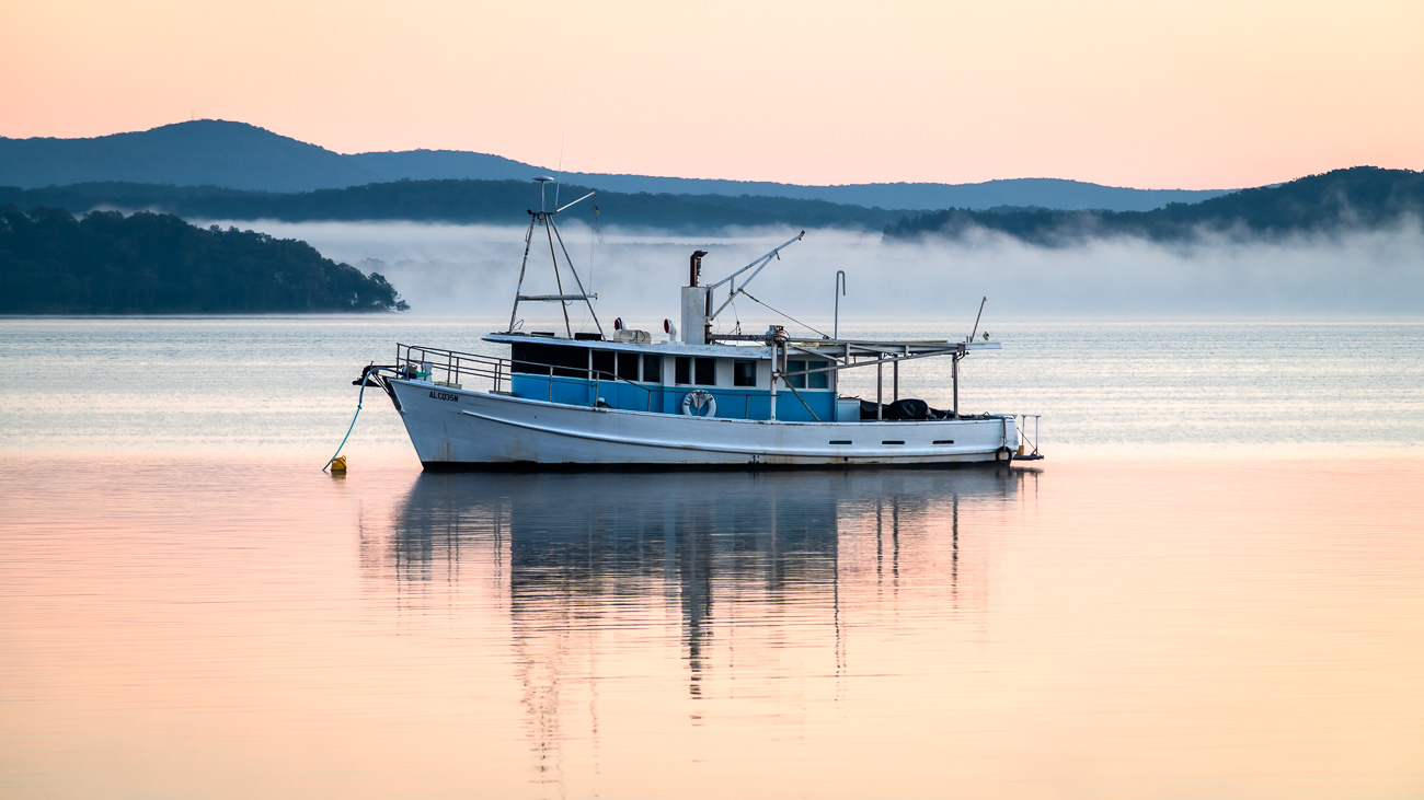 Misty Winter Morning - Balcolyn, Lake Macquarie NSW 2264.  A beautiful layer of mist in the background to set the wintery scene - Image taken 29-5-24