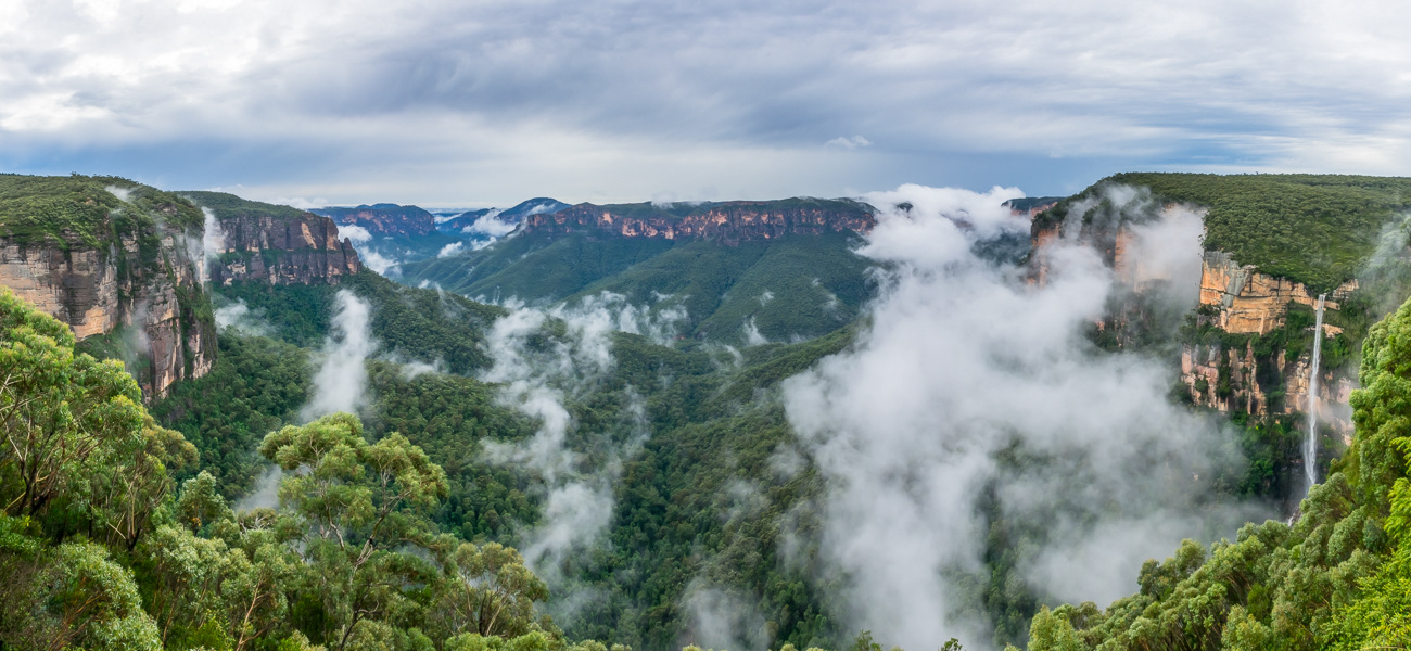 Misty Morning - Blue Mountains NSW Australia.  Moody and misty morning - 30-3-19
