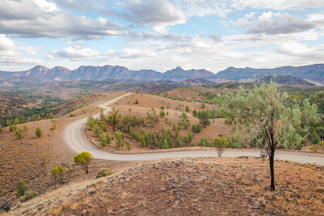 Magnificent Mountain Rage - Flinders Ranges SA Australia.  Such a beautiful part of Australia with stunning mountain ranges and wining dirt roads - Image taken 1-6-21