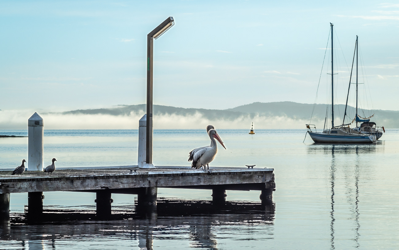 Birds and Boats - Wangi, Lake Macquarie NSW Australia.  What I think when Lake Macquarie is mentioned.  Birds, Boats and Jettys - Image taken 16-5-24