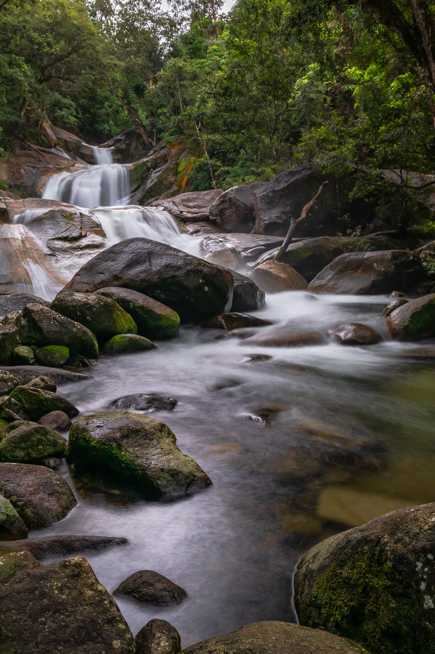 Josephine Falls - Wooroonooran National Park, Wooroonooran QLD Australia.  A different angle of Josephine Falls - Image taken 22-8-23